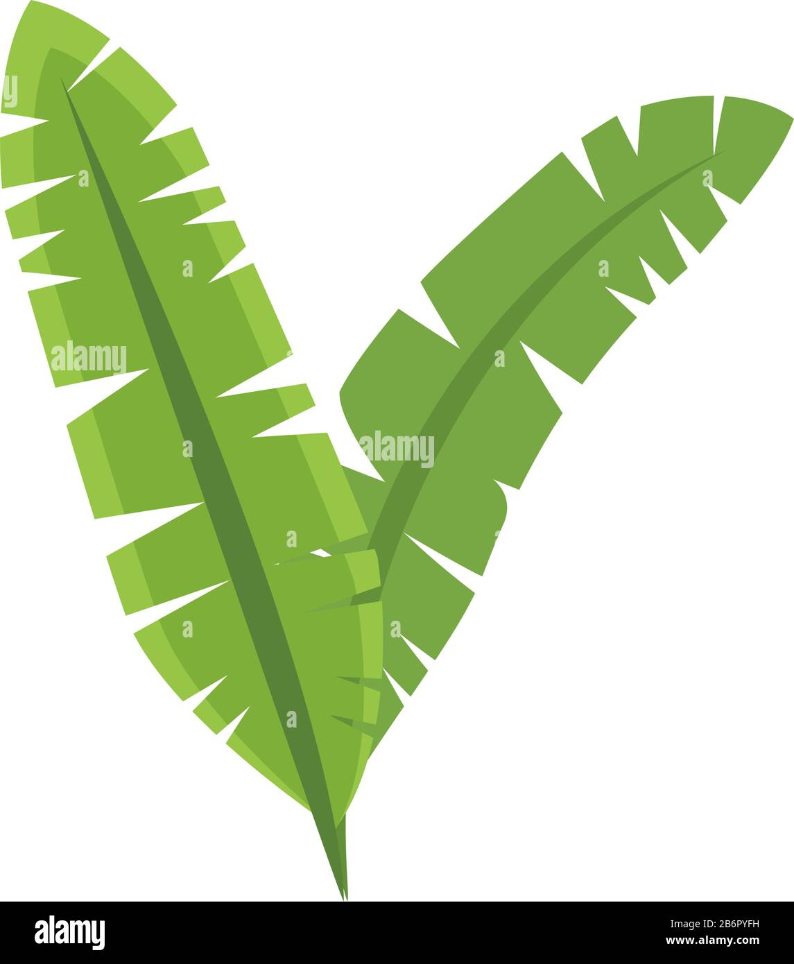 leafs palm tropical foliage icon Stock Vector Image & Art - Alamy