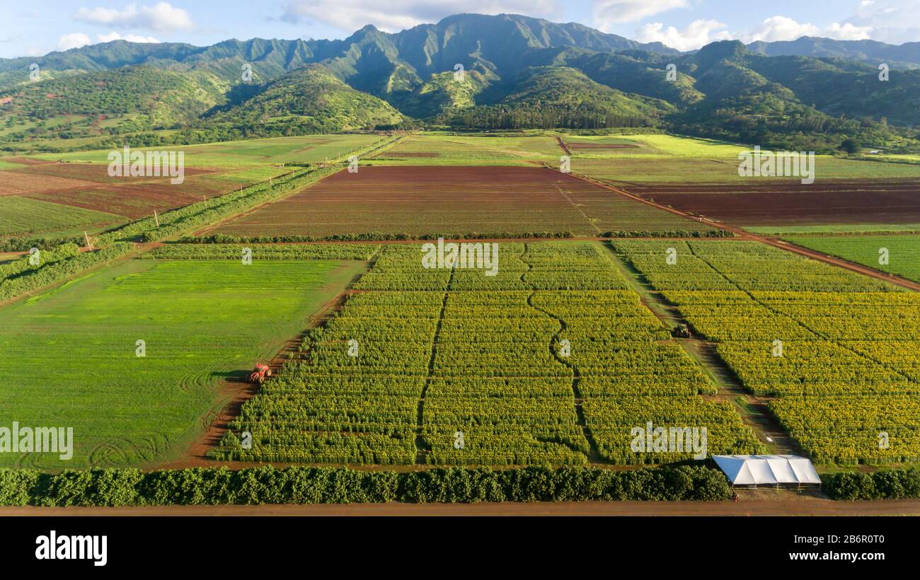 Aerial Farm view, Oahu Hawaii Stock Photo Alamy