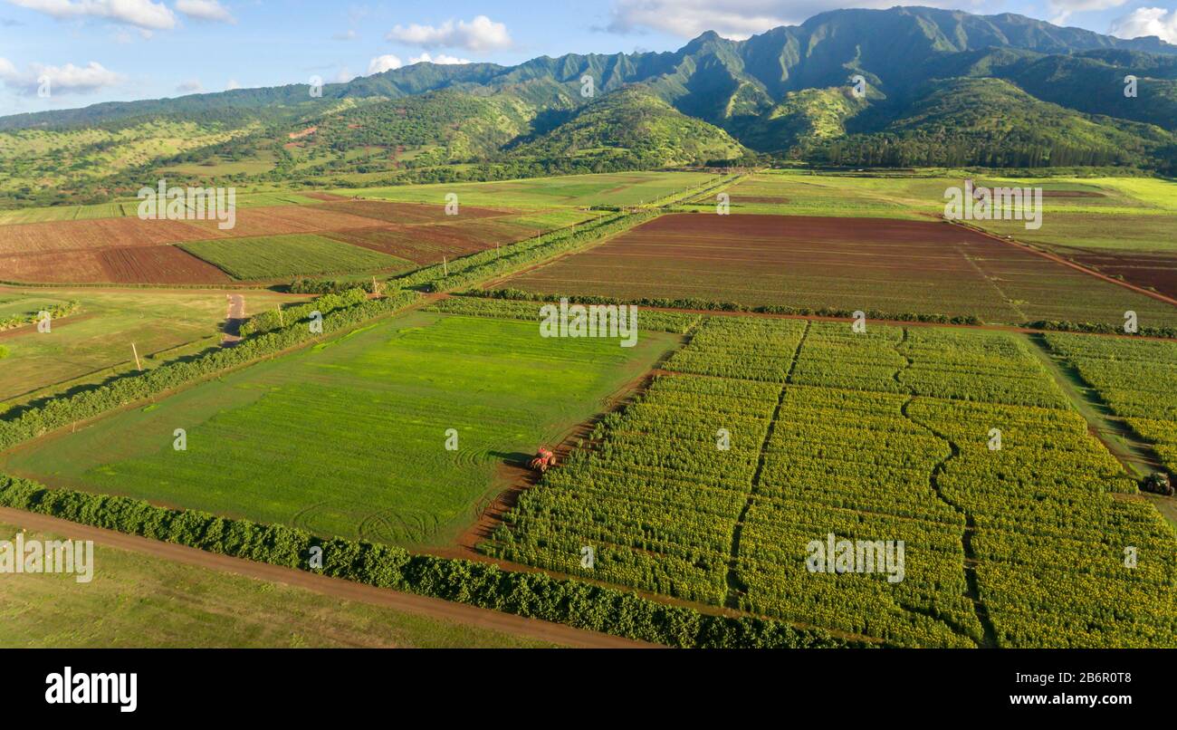 Aerial Farm view, Oahu Hawaii Stock Photo Alamy