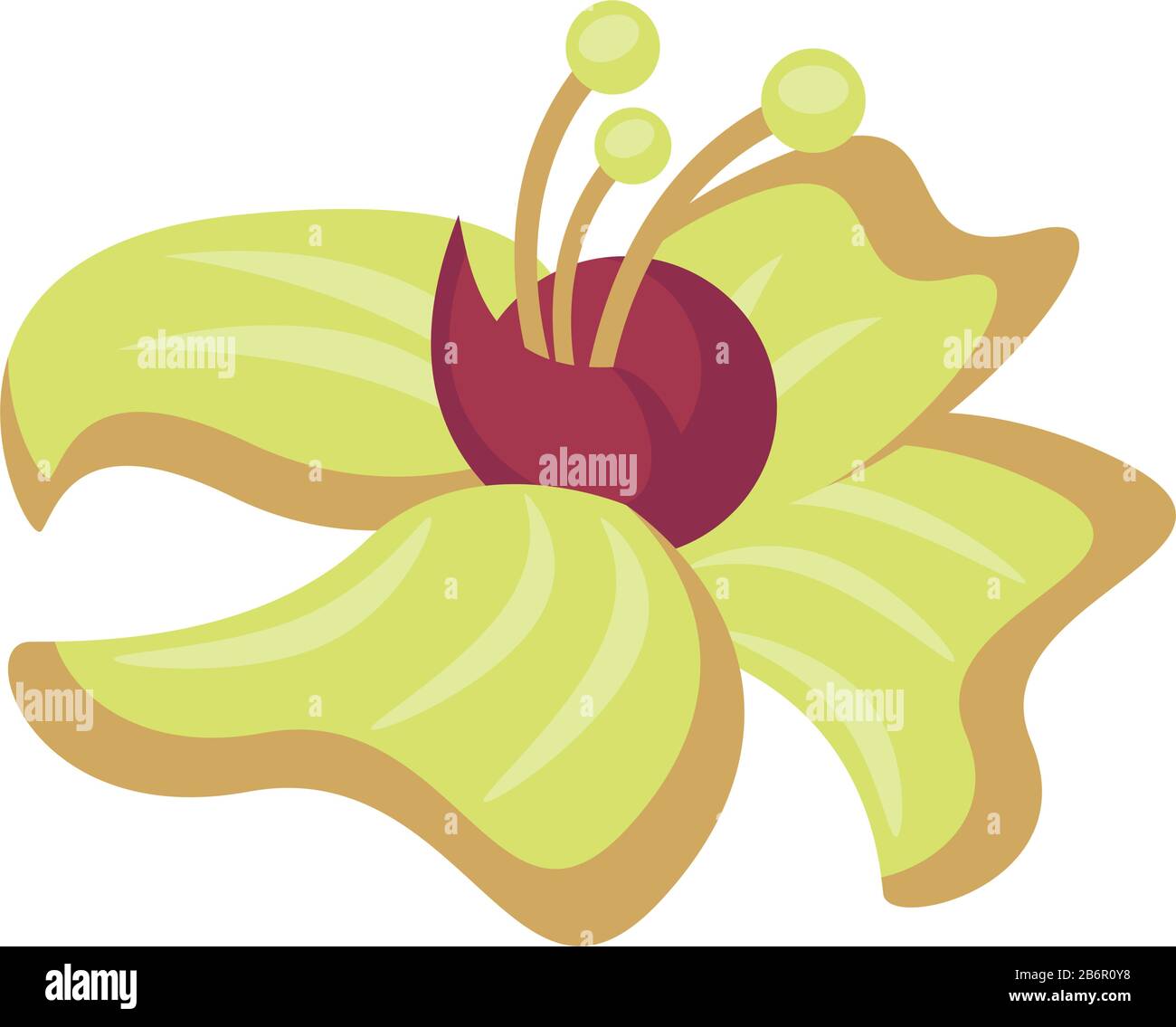 exotic and tropical flower nature icon Stock Vector Image & Art - Alamy