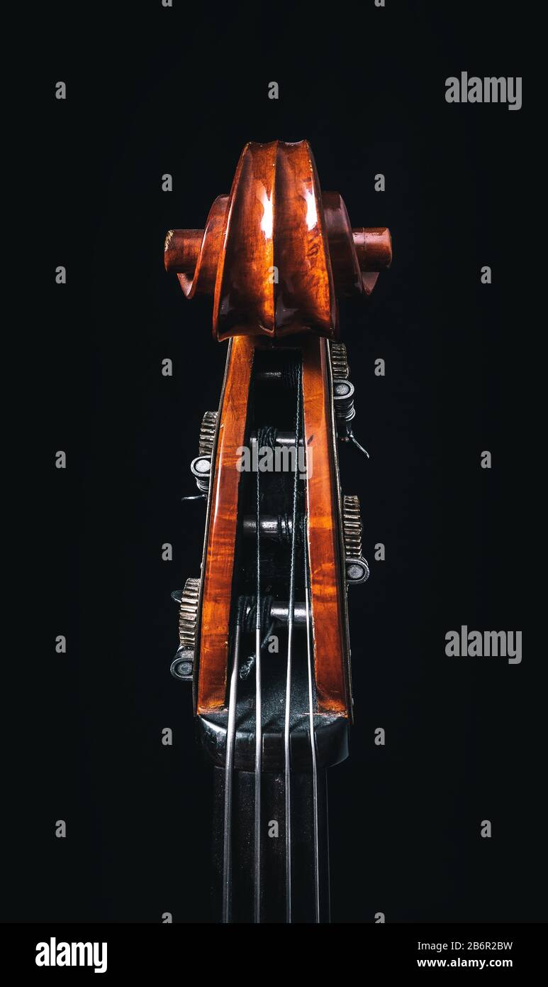 Double bass head stock with strings and tuners Stock Photo