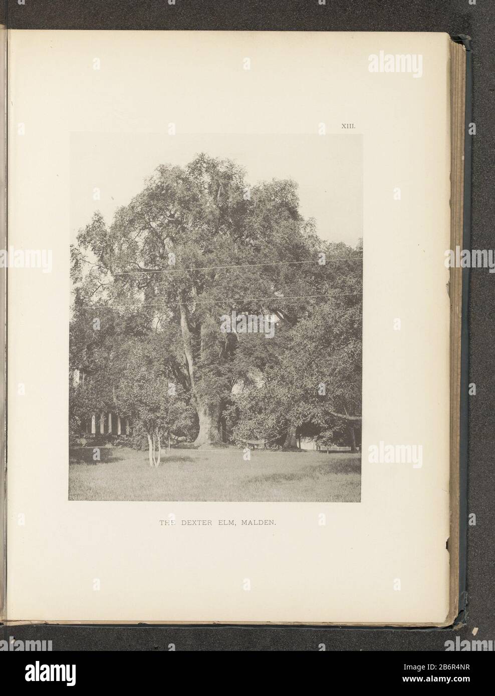 174 1063 hires stock photography and images Alamy