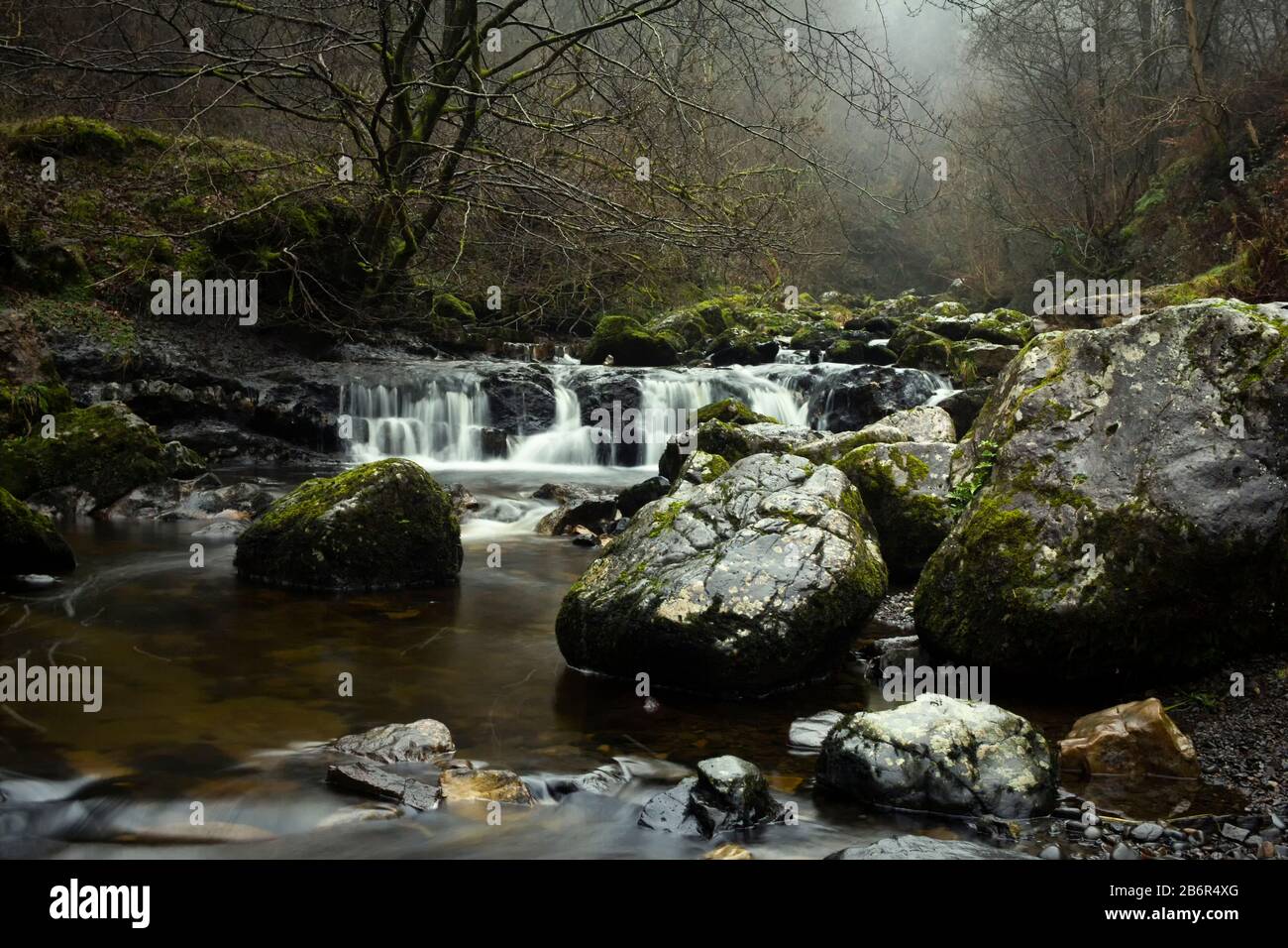 The a waterfall and river in Campsie Glan gorge in the west of Scotland. Stock Photo
