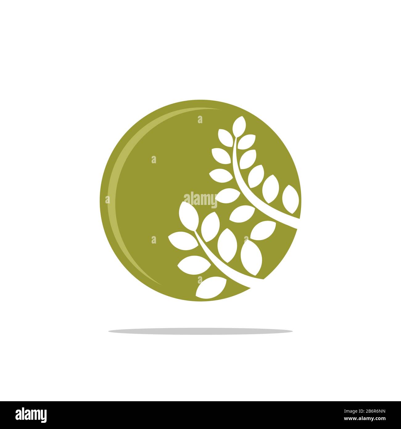Green Leaves Circle Ornamental Logo Template Illustration Design ...