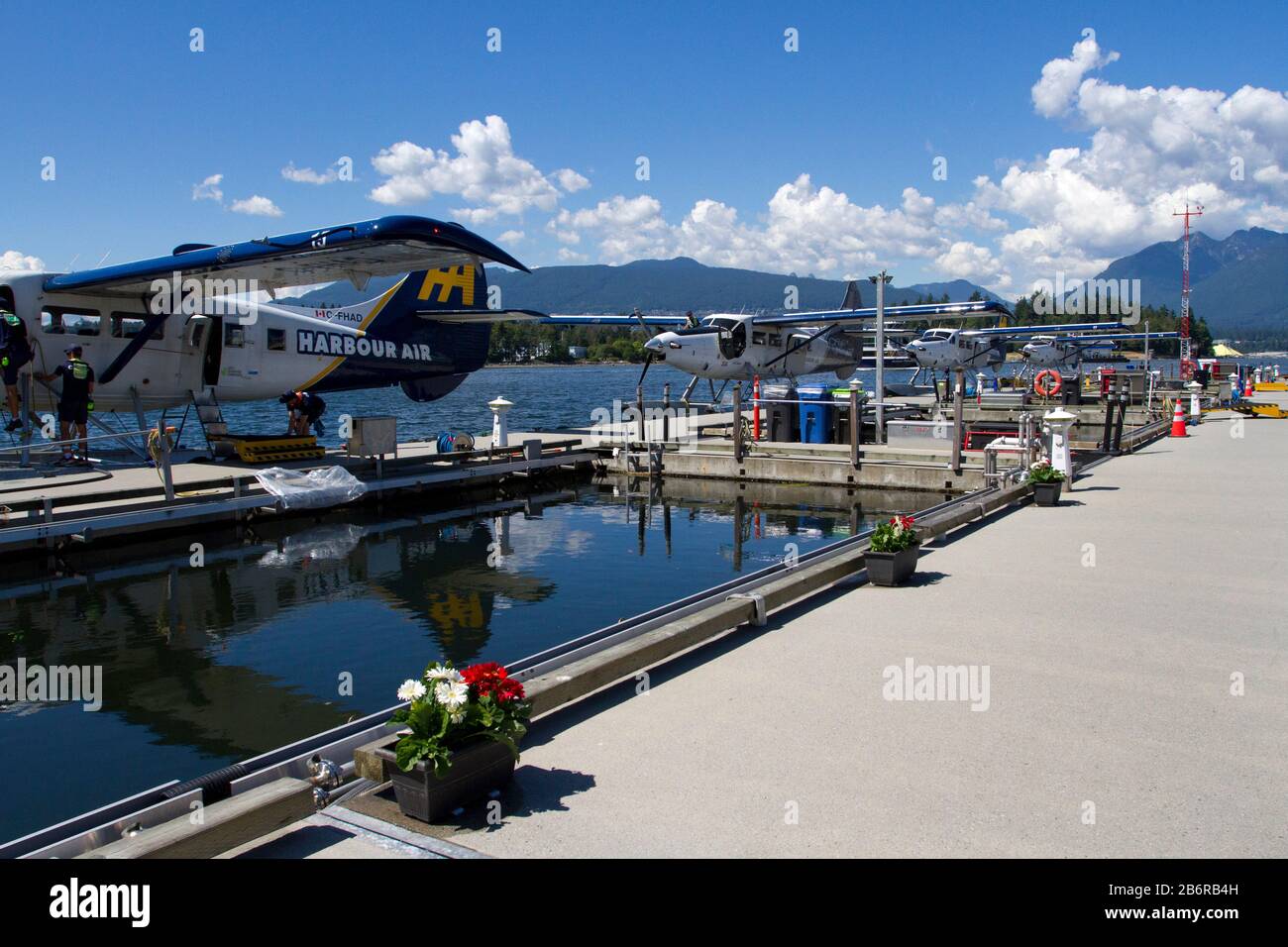 Four Harbour Air DHC-3 de Havilland Turbine Single Otter seaplanes at Coal Harbour, Vancouver, BC, Canada Stock Photo