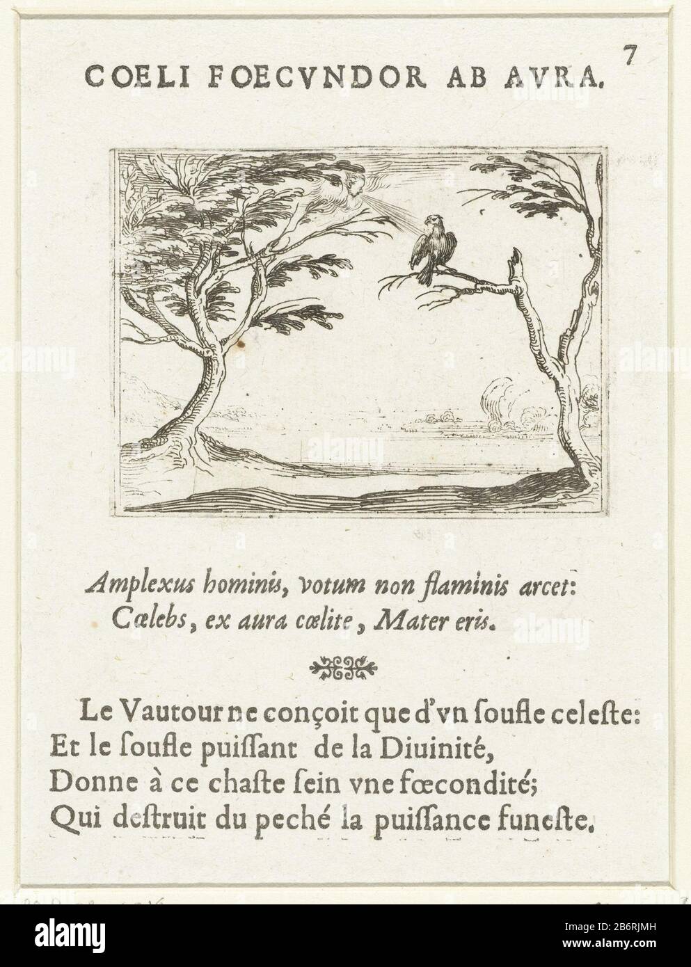 Gier in de wind Coeli foecundor ad aura (titel op object) Leven van Maria in emblemen (serietitel) Presentation of a vulture on a tree branch. A face in a cloud blows to him. Above and below this post Latin and French texts in letterpress. This chapter is part of the emblem series 'Life of Mary in emblems. The first condition of this series includes in addition to a title page and 26 emblems also three blades with hymns to Mary in letterpress without afbeelding. Manufacturer : printmaker Jacques Callotuitgever: Anthoine Charlot Place manufacture: printmaker Nancy Publisher: France Date: 1625 - Stock Photo