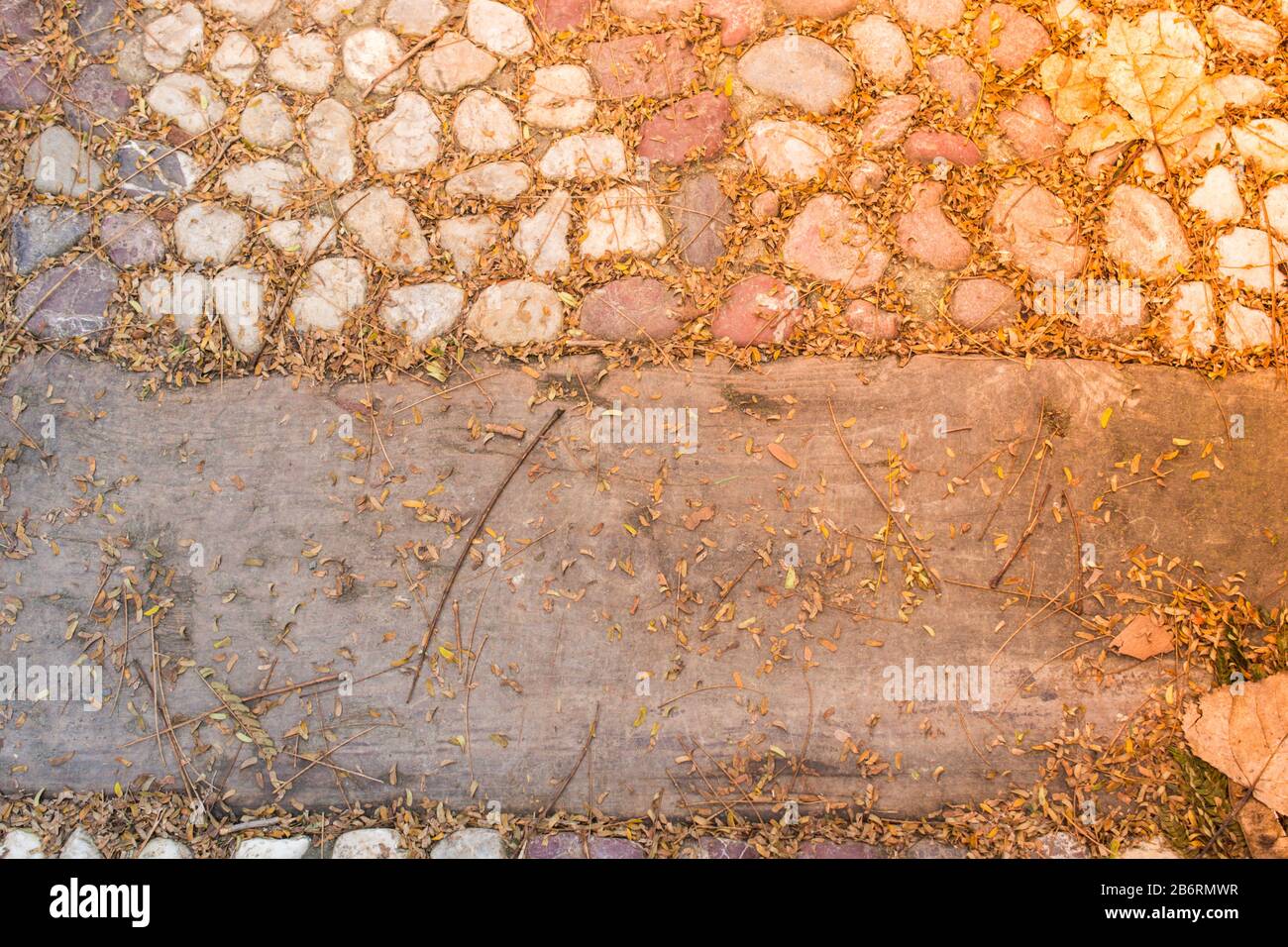 Beautiful dry leaves as an autumn background texture Stock Photo - Alamy