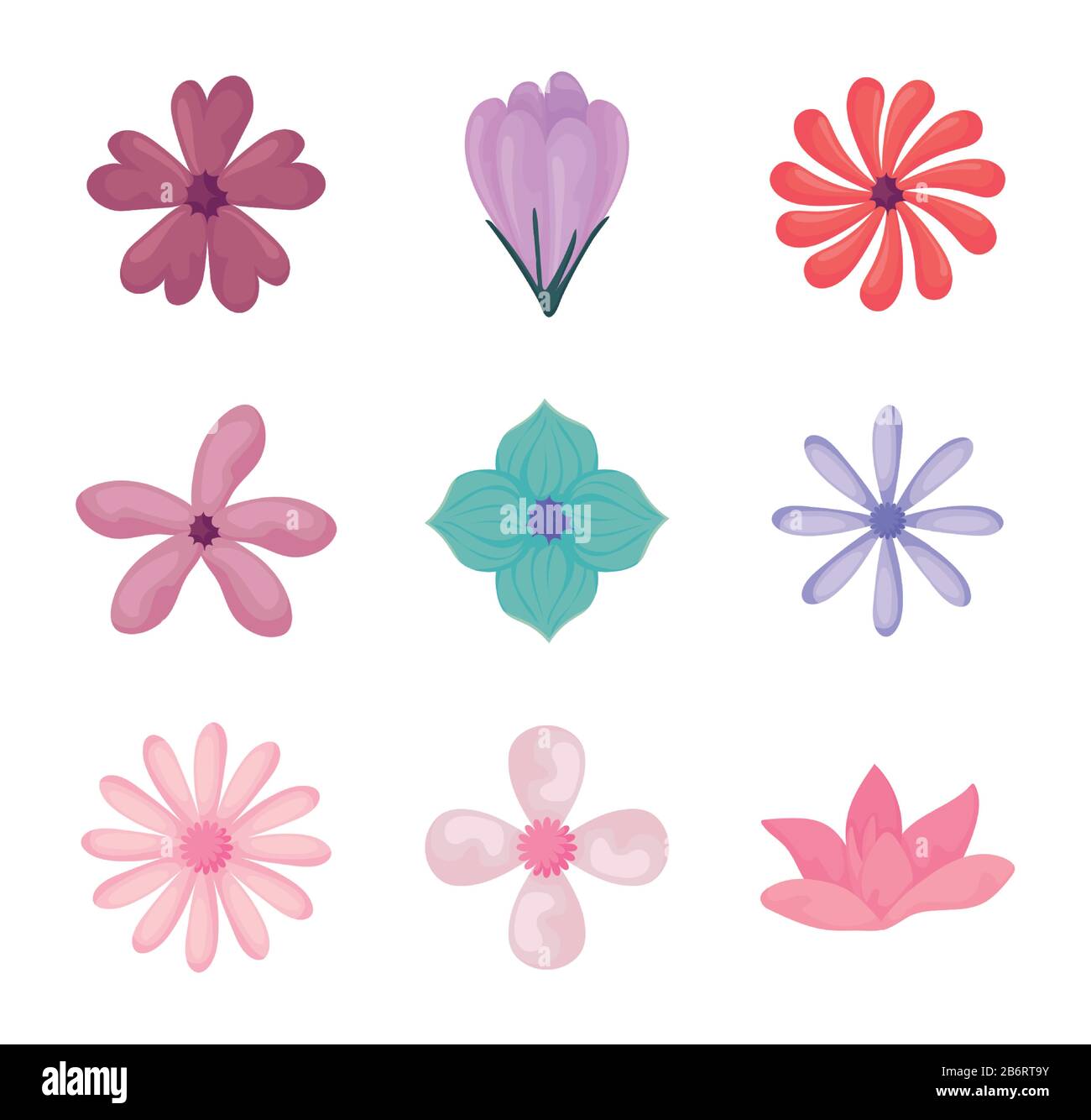 beautiful and colorful flowers icon set over white background, vector ...
