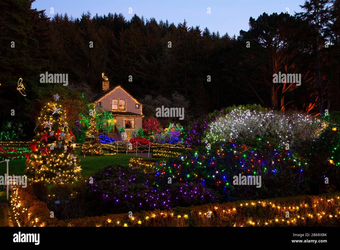 Holiday Lights, Shore Acres State Park, Oregon Stock Photo Alamy