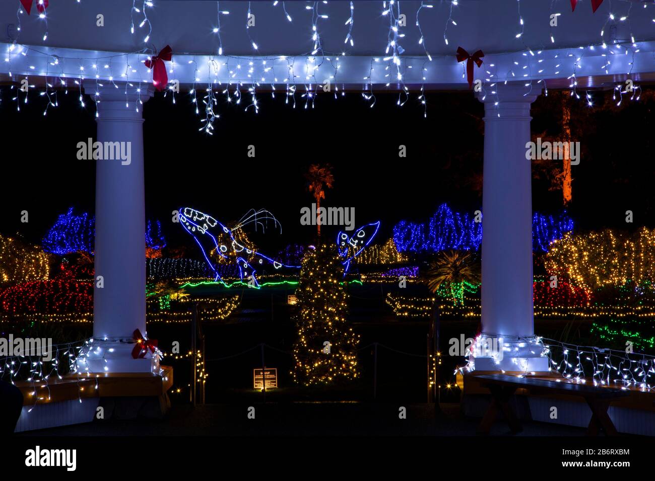 Holiday Lights, Shore Acres State Park, Oregon Stock Photo Alamy