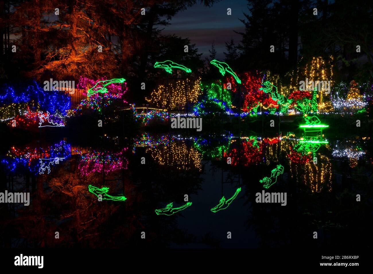 Holiday Lights, Shore Acres State Park, Oregon Stock Photo Alamy