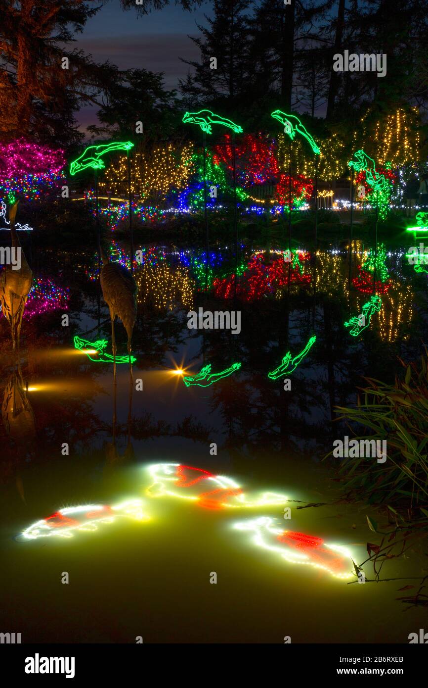 Holiday Lights, Shore Acres State Park, Oregon Stock Photo Alamy