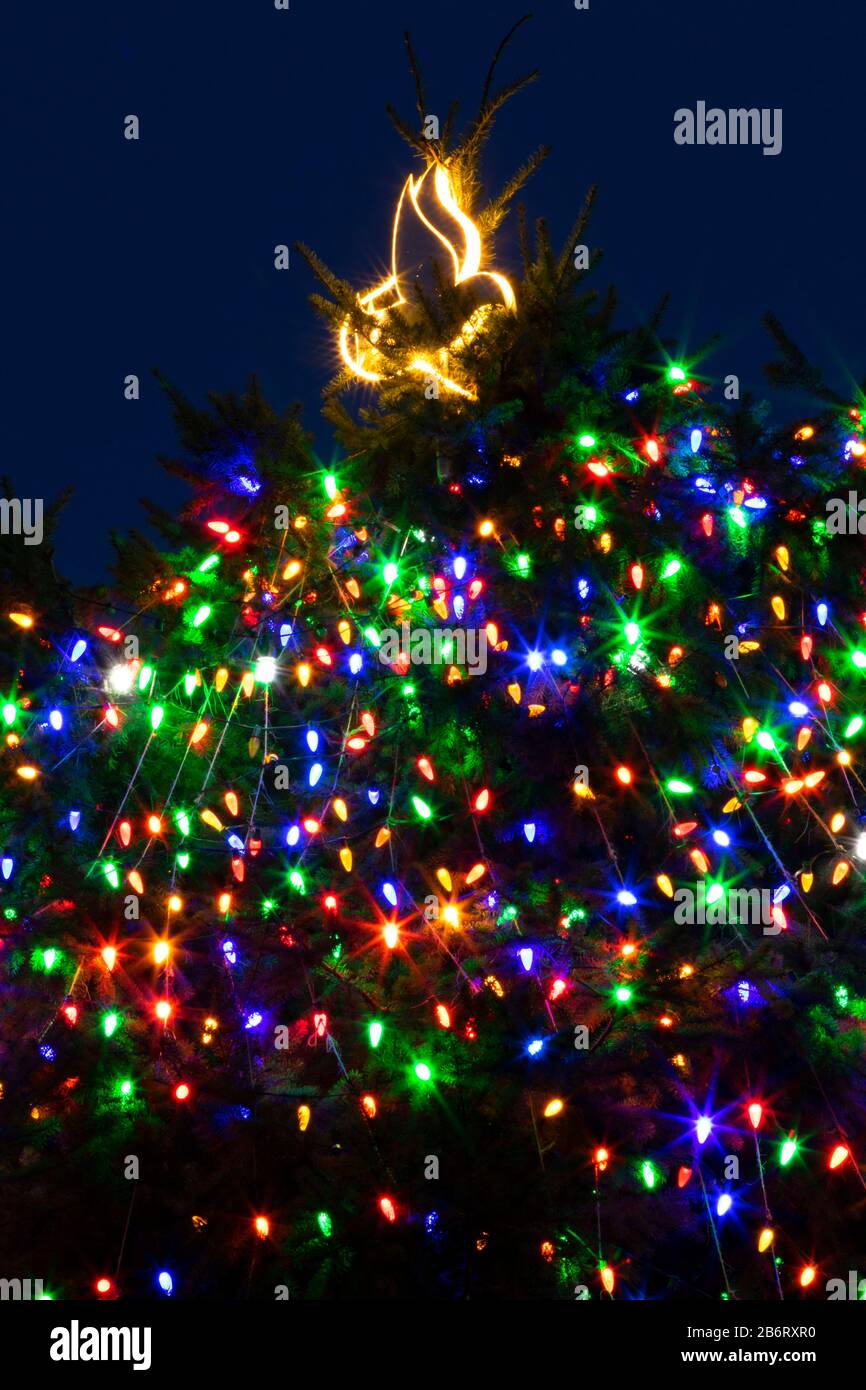 City Christmas Tree, Riverfront Park, Salem, Oregon Stock Photo Alamy
