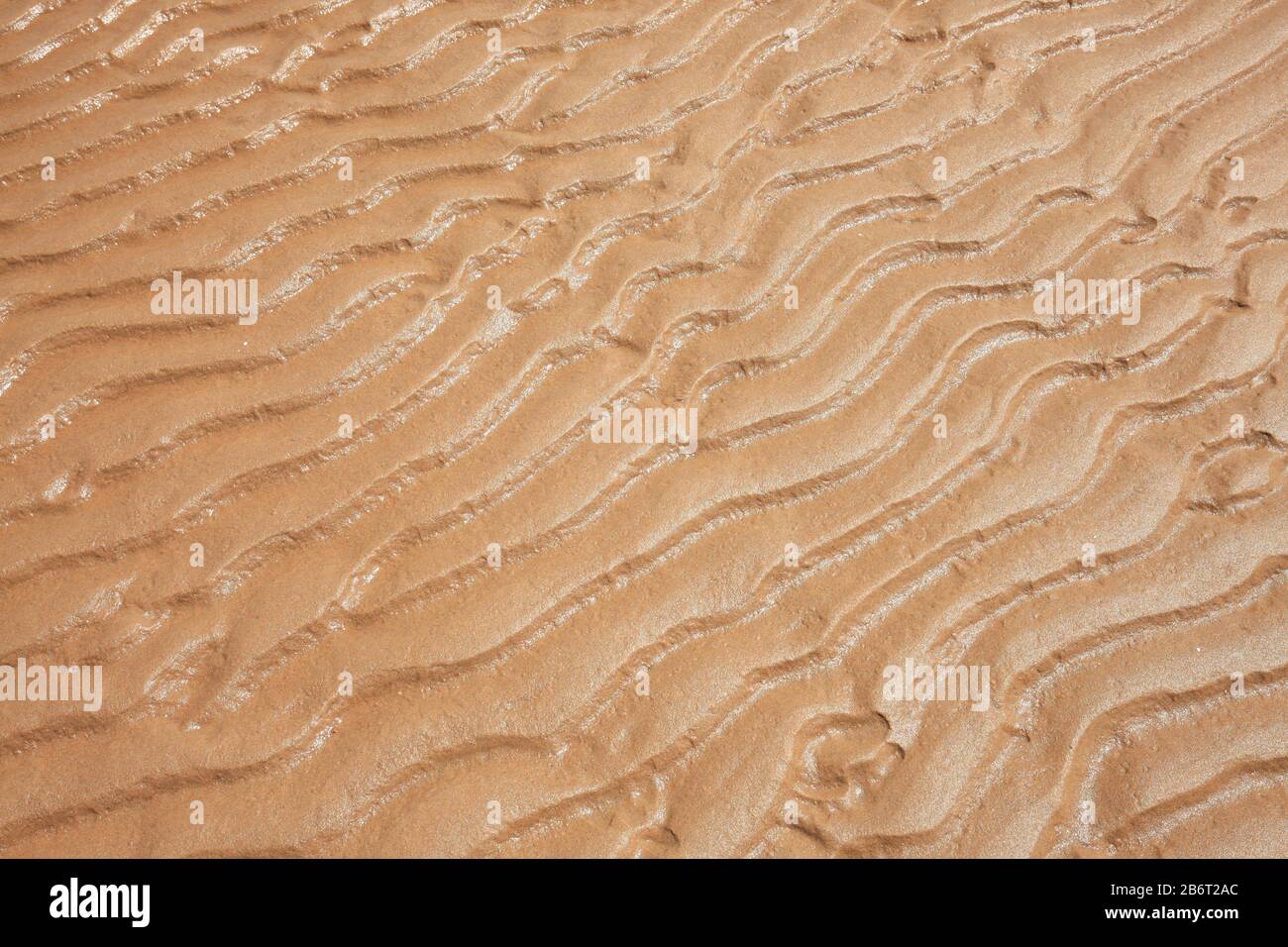 Sand grain background hi-res stock photography and images - Alamy