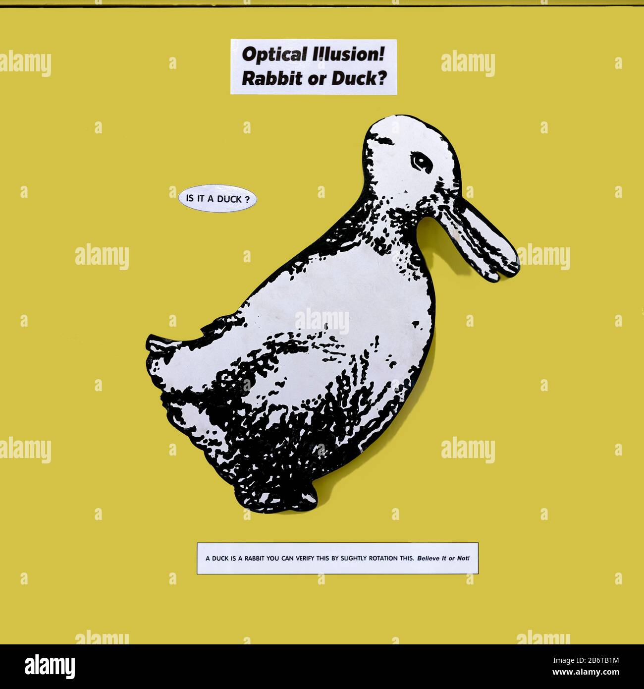 Optical illusion and trick art Illustration of an animal conversion to either a rabbit or a duck. Stock Photo