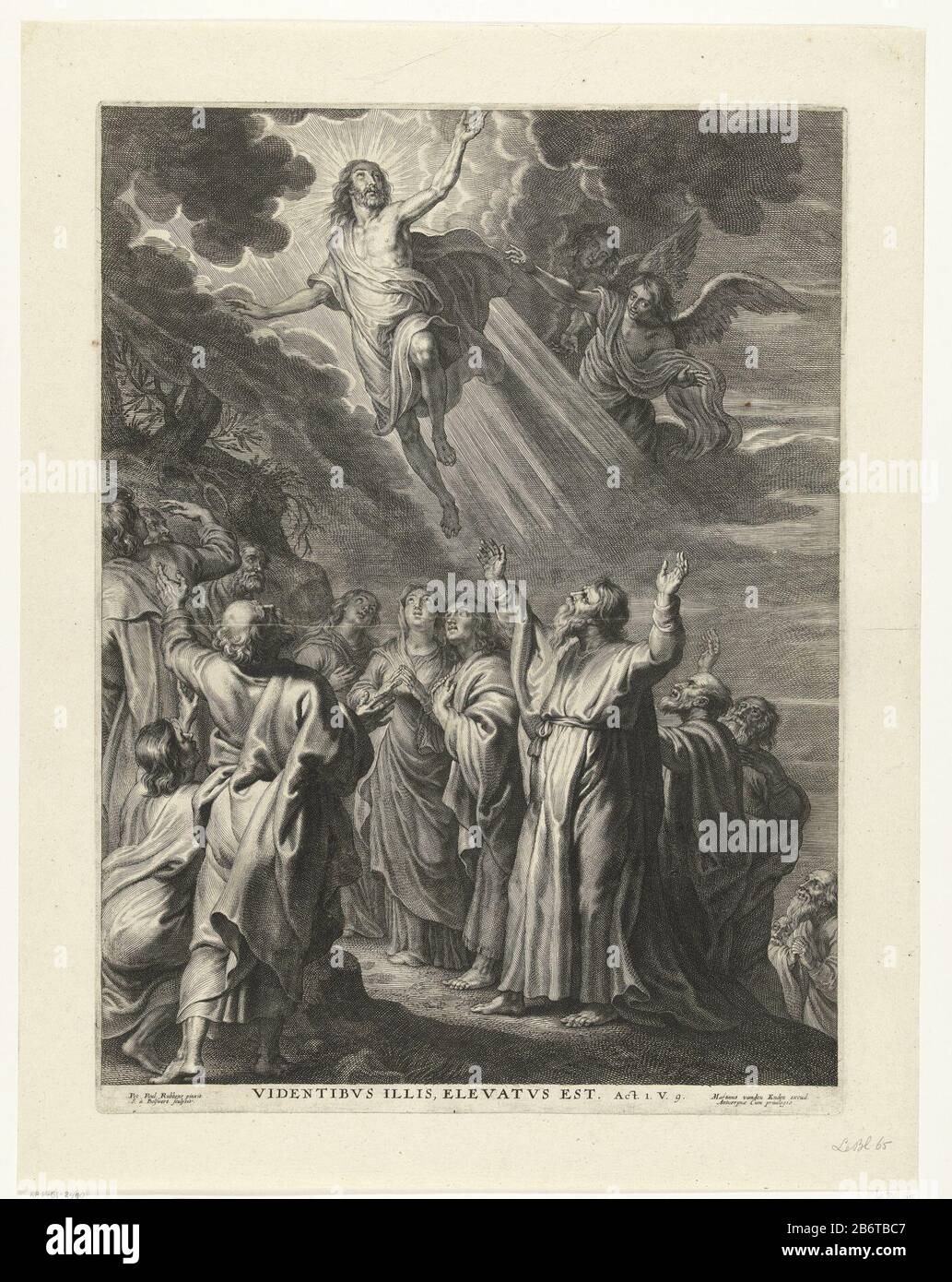 Hemelvaart van Christus Ascension of Christ in the presence of Mary and John and the apostles. Under quote from Acts 1, verse 9. Manufacturer : printmaker: Schelte Adamsz. Bolswert (listed property) to painting by Peter Paul Rubens (listed building) Publisher: Martinus van den Enden (listed property) Place manufacture: Antwerp Date: 1596 - 1659 Physical features: car material: paper Technique: engra (printing process) Dimensions: plate edge: h 460 mm × W 341 mmToelichtingPrent to painting by Peter Paul Rubens. Subject: Christ ascends into heaven; apostles (and Mary) beneath Stock Photo