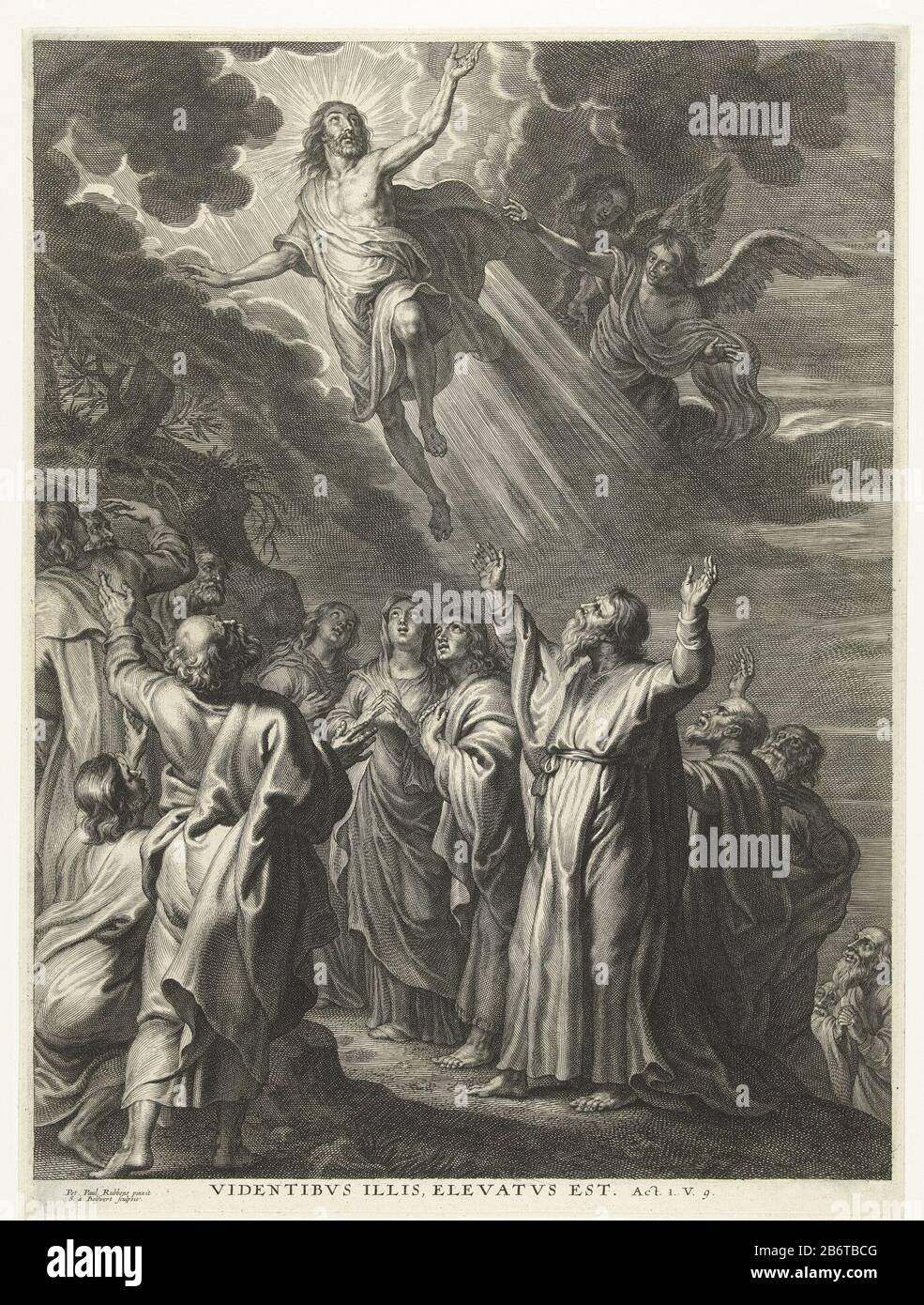 Hemelvaart van Christus Ascension of Christ in the presence of Mary and John and the apostles. Under quote Acts 1, verse 9. Manufacturer : printmaker: Schelte Adamsz. Bolswert (listed property) to painting by Peter Paul Rubens (listed building) Dated: 1596 - 1659 Physical features: car material: paper Technique: engra (printing process) Dimensions: plate edge: H 459 mm × W 340 mm Subject: Christ ascends into heaven ; apostles (and Mary) beneath Stock Photo