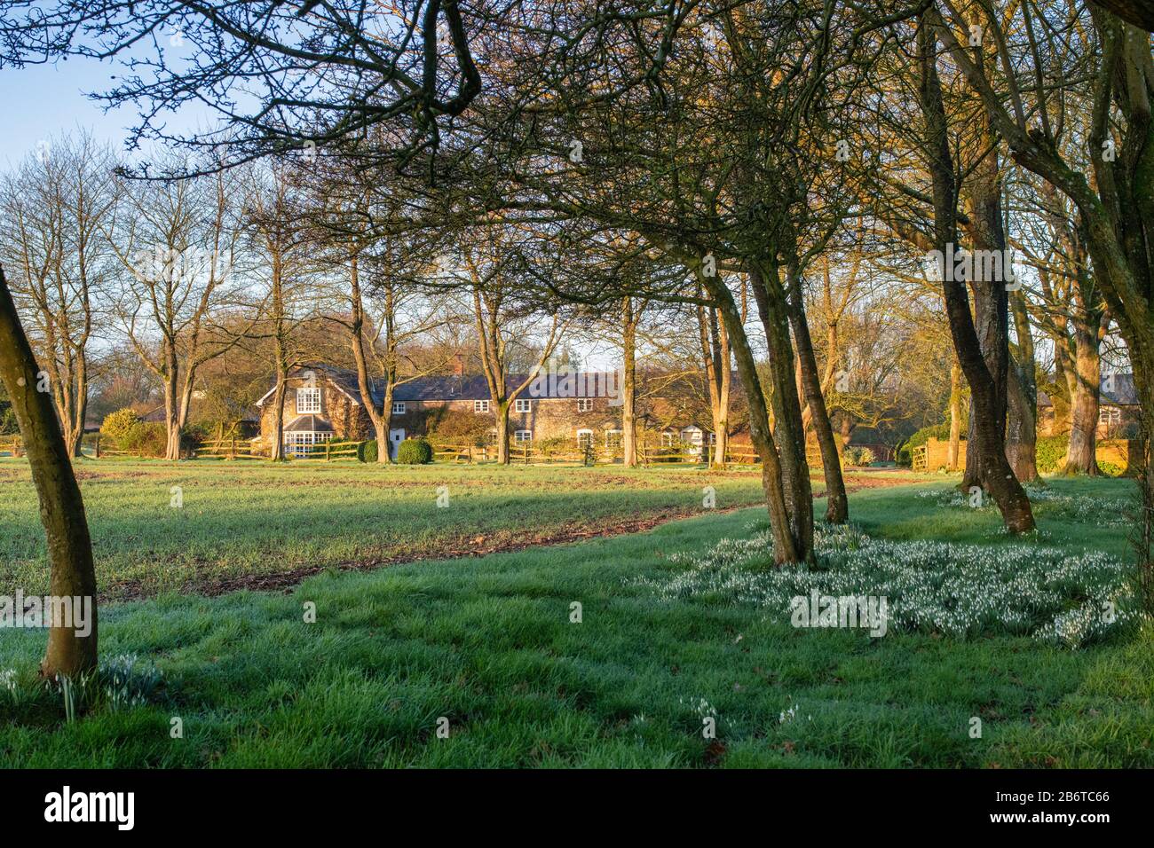 Wiltshire house next to clench common in the morning winter sunlight. Marlborough, Wiltshire, England Stock Photo