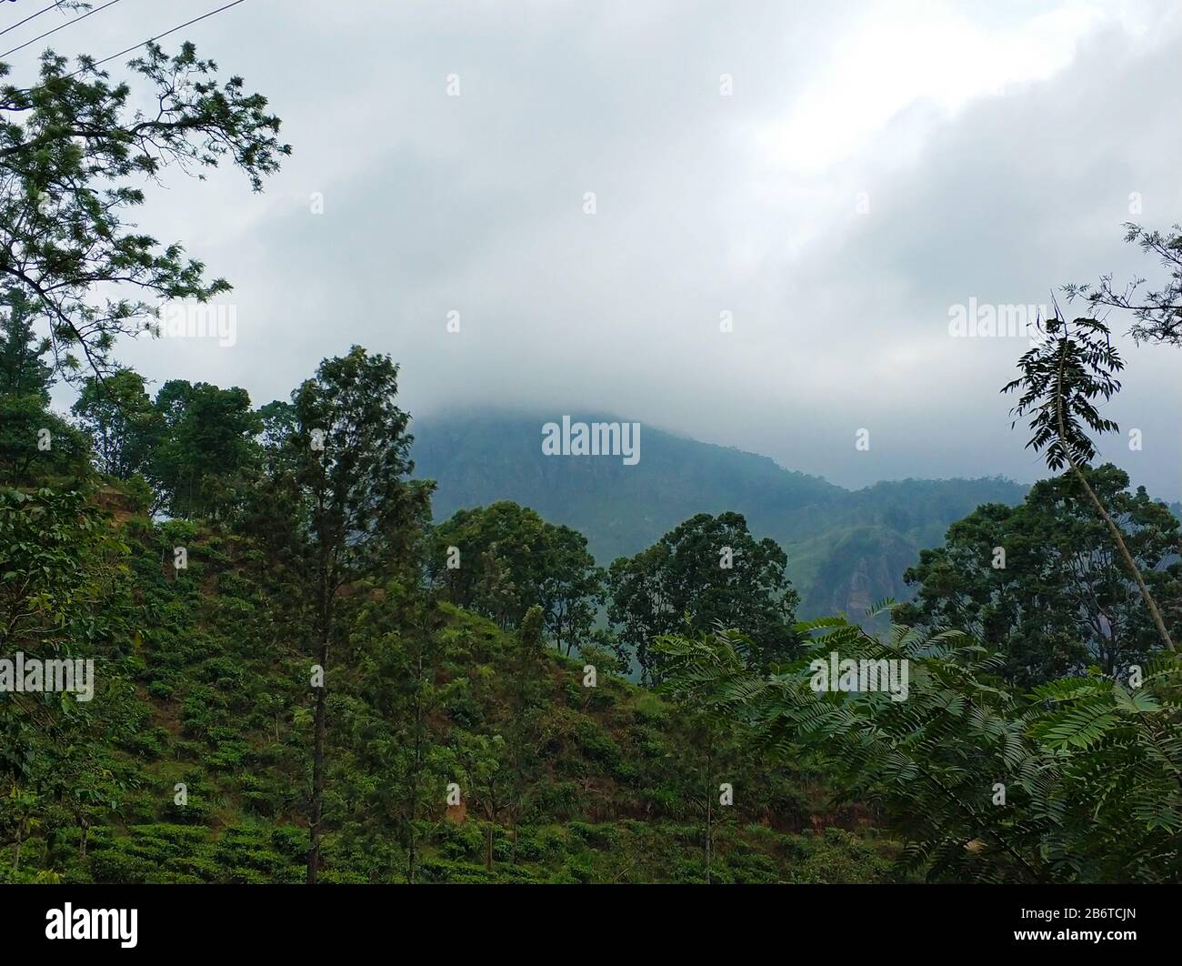Little Adam peak, mountain in the fog view from the jungle Stock Photo ...