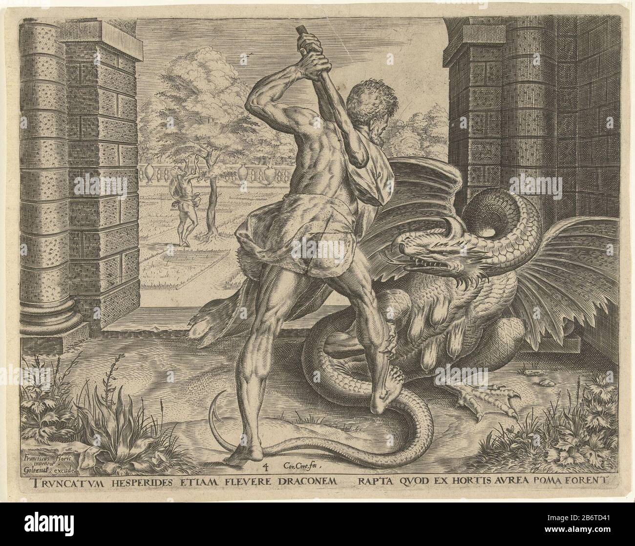 Hercules steelt de gouden appelen van de Hesperiden Werken van Hercules (serietitel) Hercules stealing the golden apples from the garden of the Hesperides. With his club he defeats the serpent Ladon guarding the entrance to the garden. In the background, he can see how the tree apples plukt. Manufacturer : printmaker Cornelis Cortnaar design: Frans Floris (I) (listed building) editor: Julius Goltzius (listed property) Place manufacture: Antwerp Dating: in or after 1563 - for 1595 Physical features: car material: paper Technique: engra (printing process) Dimensions: plate edge: h 232 mm × W 287 Stock Photo