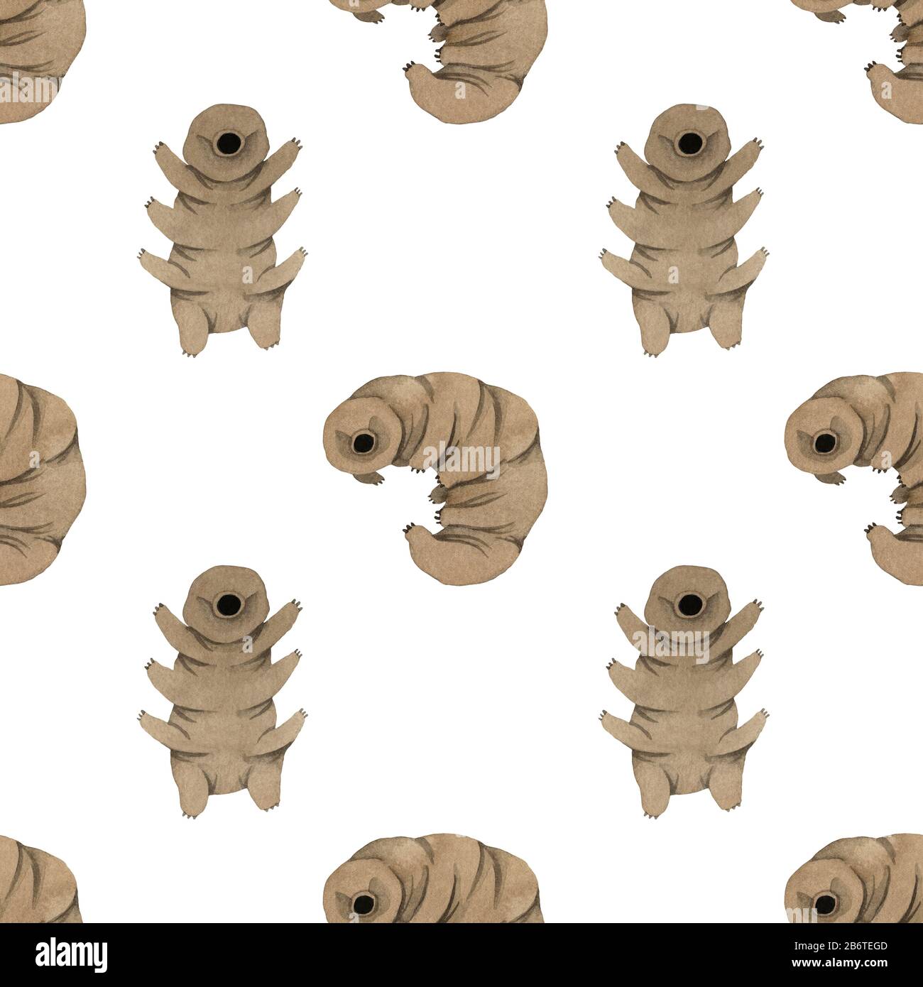 Seamless watercolor pattern tardigrades, cute water bear Stock Photo