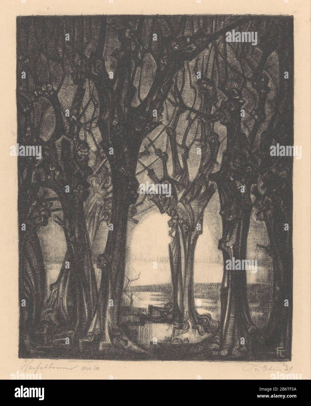 Herfstbomen (originele titel op object) Trees without leaves together. In the background the sun to horizon. Manufacturer : printmaker: Frederika Sophia Cohen (personally signed) Date: 1929 Material: paper Technique: lithography (technique) Dimensions: sheet: H 246 mm × W 201 mm Subject: autumn landscape; landscape symbolizing autumn (the four seasons of the year) trees (+ standard plant) Stock Photo