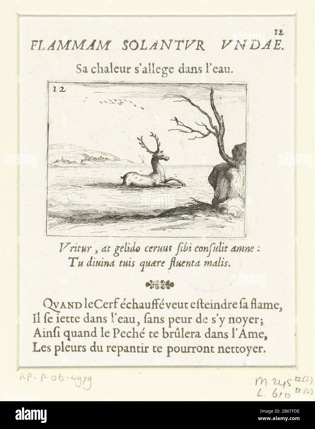 Hert zoekt verkoeling in het water Flammam solantur undaeSa chaleur s'allege dans l'eau (titel op object) Kloosterleven in emblemen (serietitel) Presentation of a deer sweating through the water of a river or bay to the side wades . Above and below this post Latin and French texts in letterpress. This chapter is part of the series logo 'Abbey Life emblems. The second state of this series includes alongside an illustrated title page and 26 emblems have a title page and a sheet assignment, both in printing without afbeelding. Manufacturer : printmaker Jacques Callotnaar own design: Jacques Callo Stock Photo