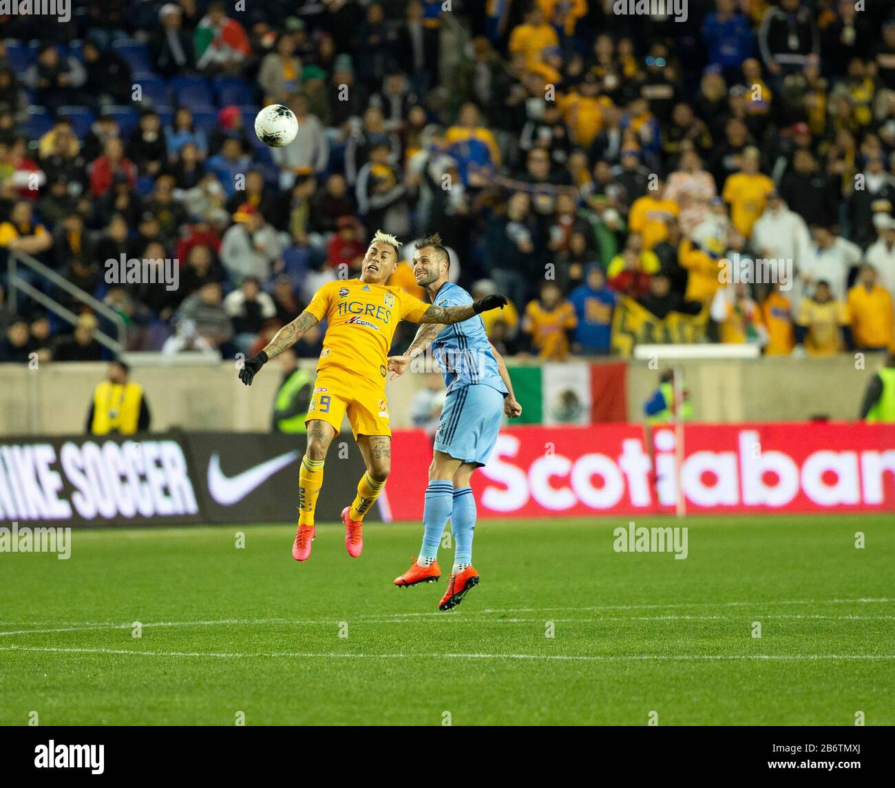 Tigres hi-res stock photography and images - Page 8 - Alamy