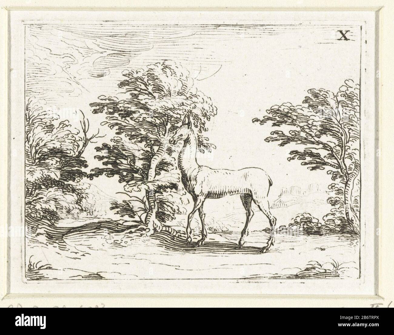 Hinde in een bos Leven van Maria in emblemen (serietitel) Presentation of a deer in a wooded area. This chapter is part of the emblem series 'Life of Mary in emblems. The first condition of this series includes in addition to a title page and 26 emblems also three blades with hymns to Mary in letterpress without afbeelding. Manufacturer : printmaker Jacques Callotuitgever: François Langlois Place manufacture: printmaker Nancy Publisher: Paris Date: 1625-1629 and / or 1646 Physical features : etching material: paper Technique: etching dimensions: plate edge: h 62 mm × 81 b mm Subject: hoofed an Stock Photo