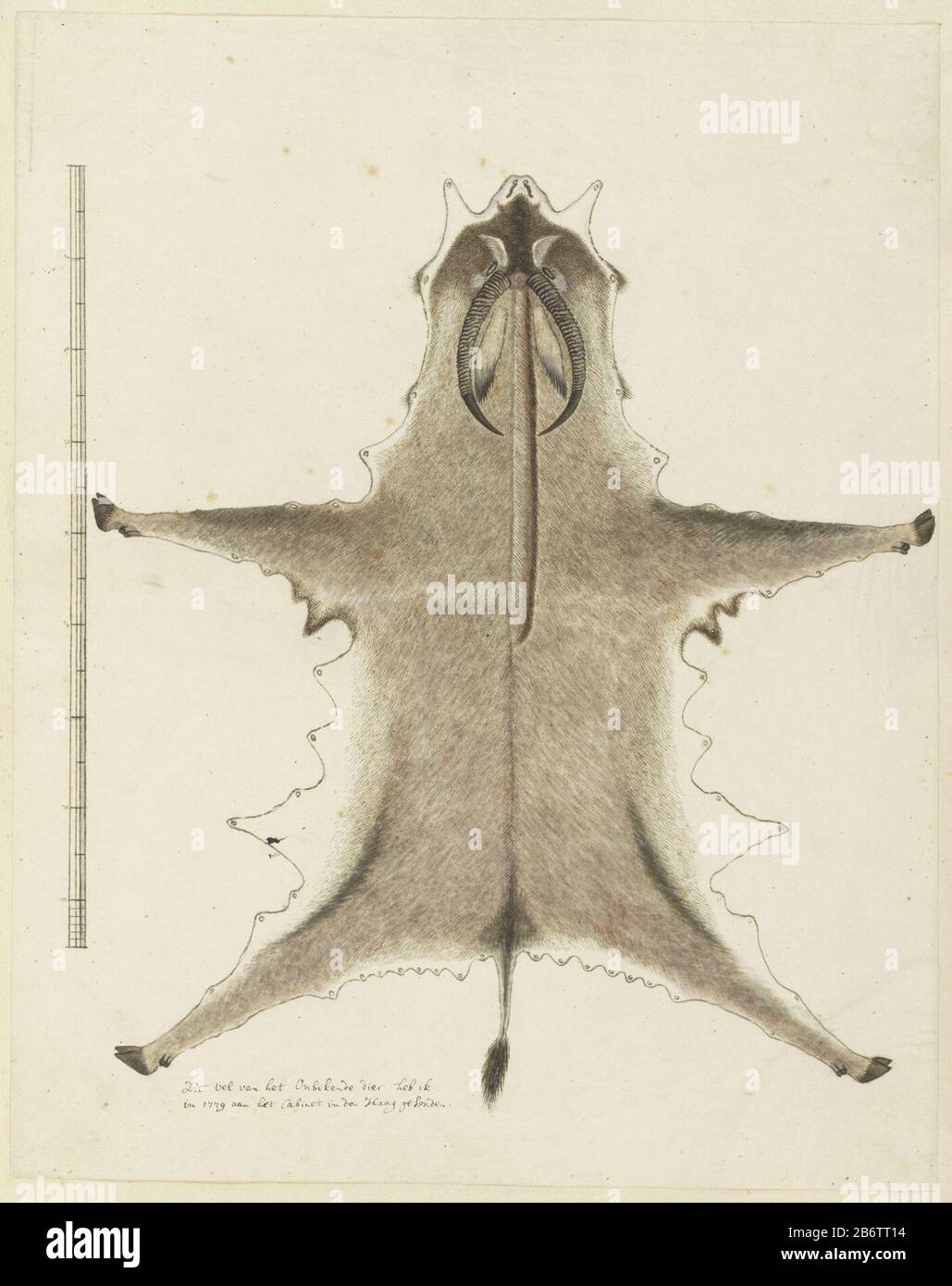 161 Inches High Resolution Stock Photography And Images Alamy