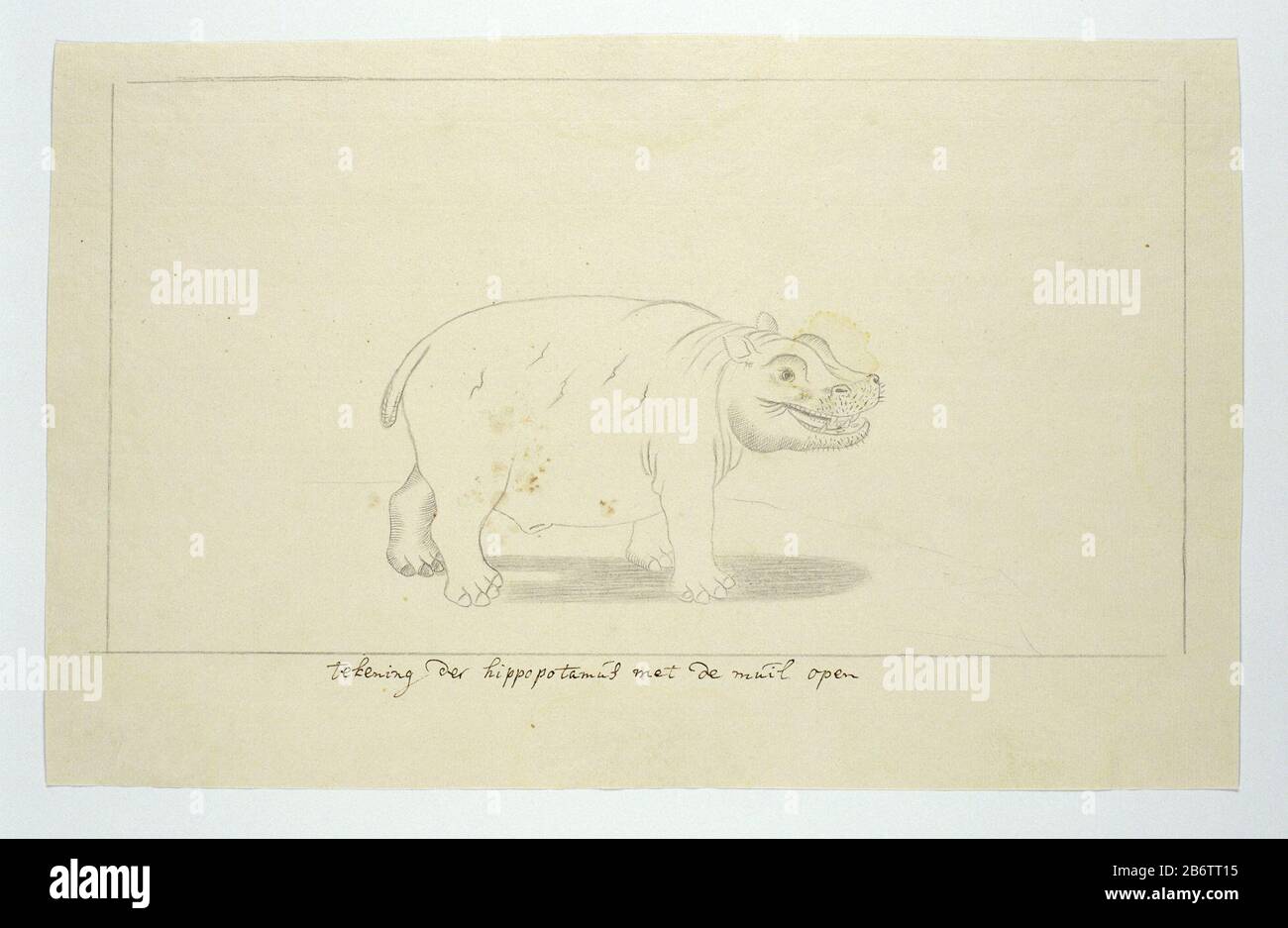 Hippopotamus amphibius (Nijlpaard) Hippopotamus amphibius (Nijlpaard) Object Type : tekening albumblad Objectnummer: RP-T-1914-17-209-A Inscriptions / Merken: annotatie, m.o. kader, pen in bruin: ‘tekening der hippopotamus met de muil open’ (in handschrift van Gordon; tekst in: L.C. Rookmaker, Appendix I van zijn scriptie, p. 222 (foutief genummerd 209b, of verkeerd om opgeplakt)) Manufacturer :  draftsman: Robert Jacob Gordon Dating: ca. 1778 - 1779 Physical kenmerken: pen en penseel in inkt, potlood of zwart krijt; kaderlijnen in potlood Material: papier inkt potlood krijt Techniek: pen Dime Stock Photo