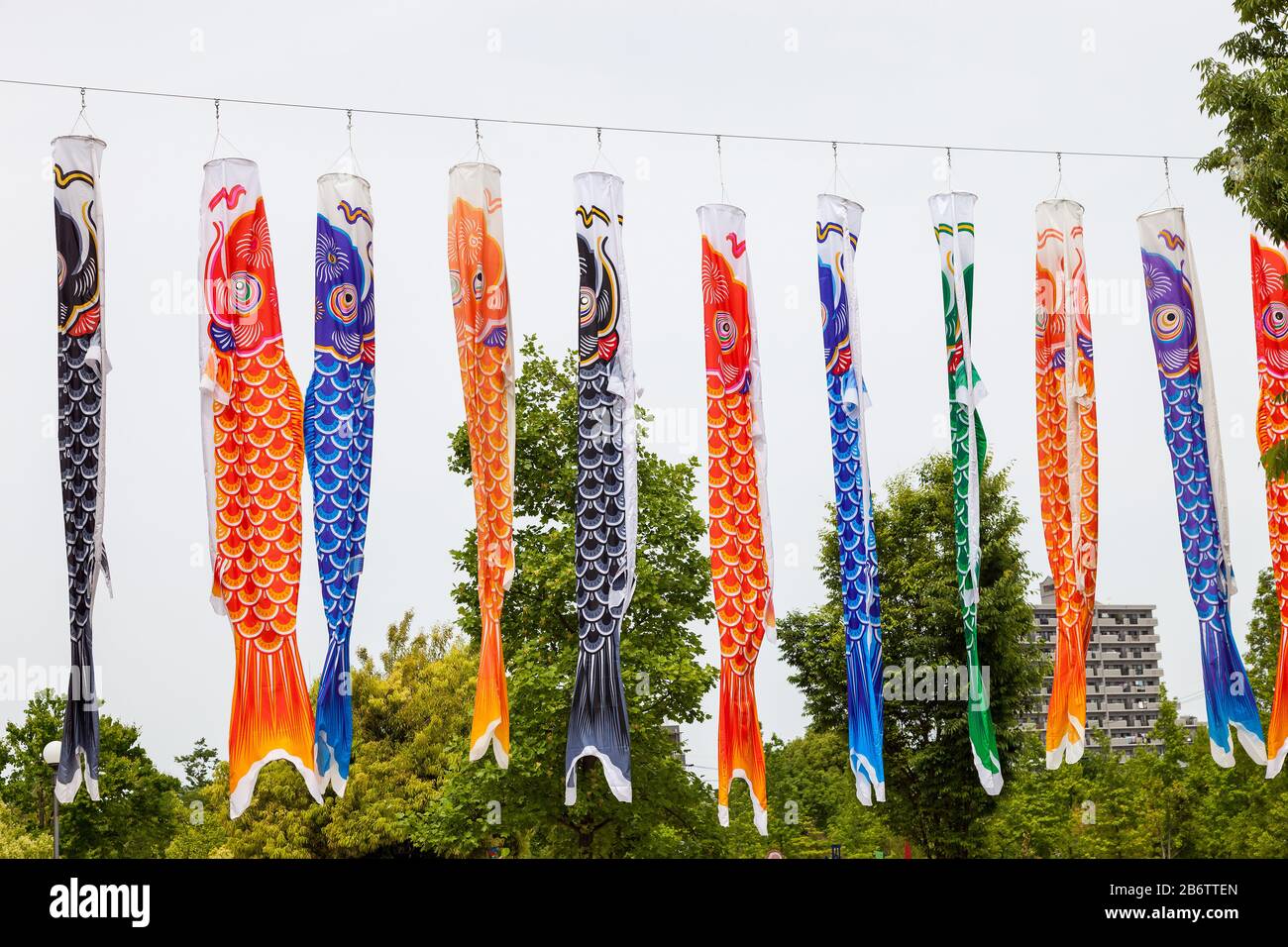 Japanese koinobori flags for Children's day on blue sky background