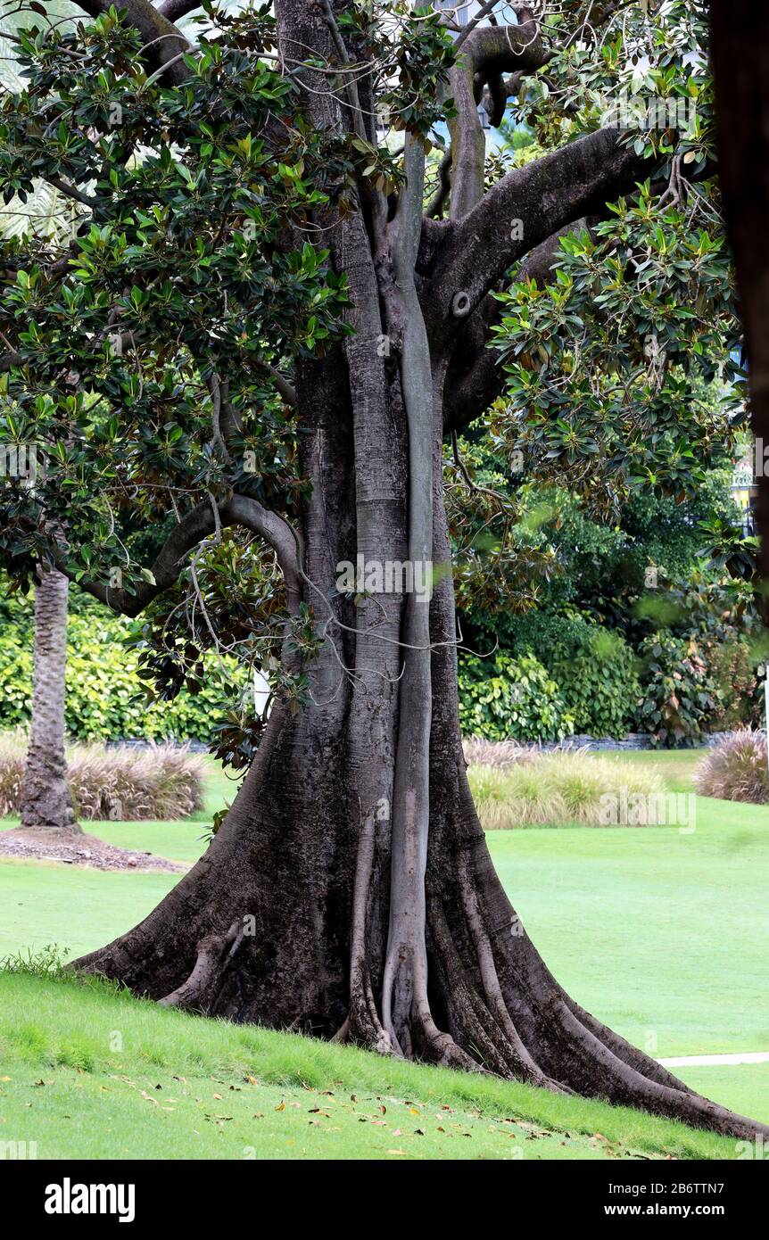 Plants & Flowers: Found at the botanical gardens, these lovely natural ...