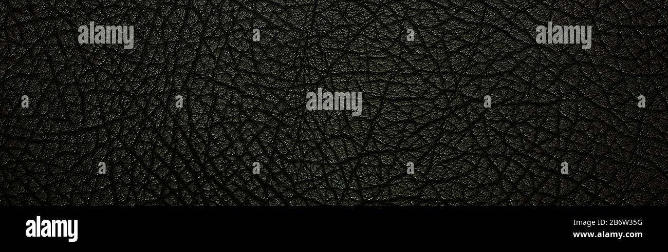 Black leather texture. Banner Stock Photo