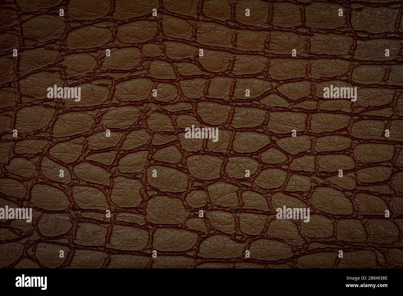 Brown crocodile skin texture. Useful as background.Copy space Stock Photo