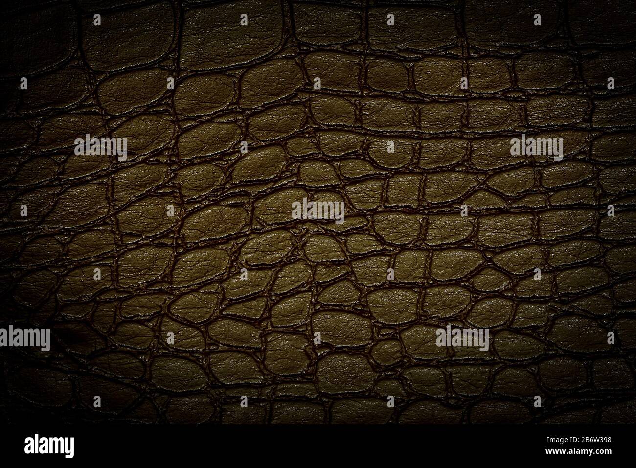 Brown crocodile skin texture. Useful as background.Copy space Stock Photo