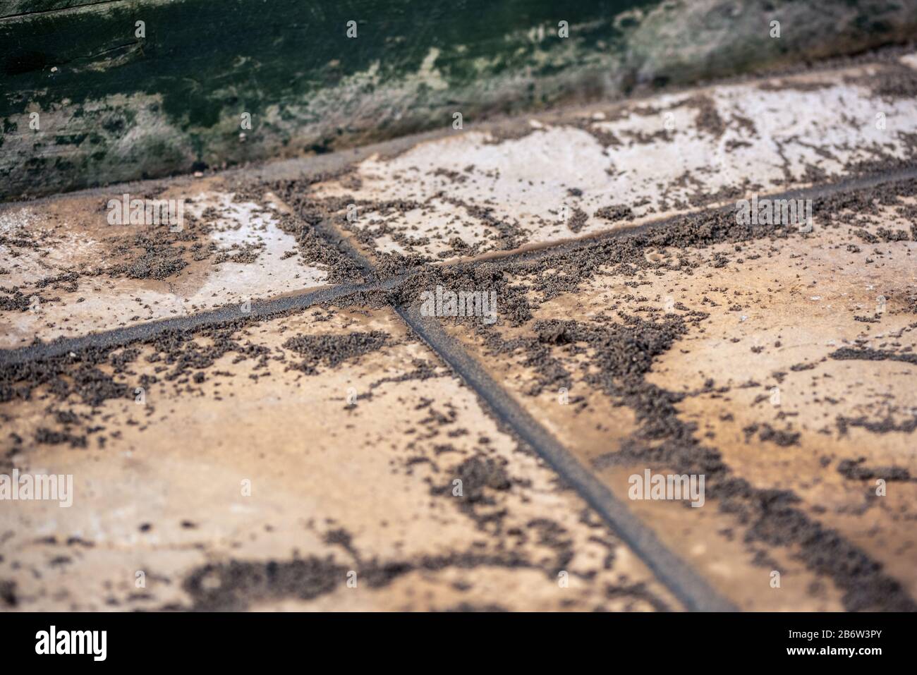 Patio pebbles hi-res stock photography and images - Alamy