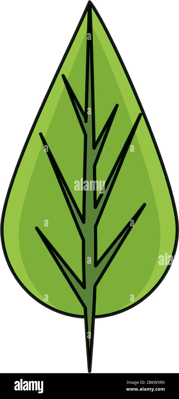 leaf plant nature isolated icon Stock Vector Image & Art - Alamy