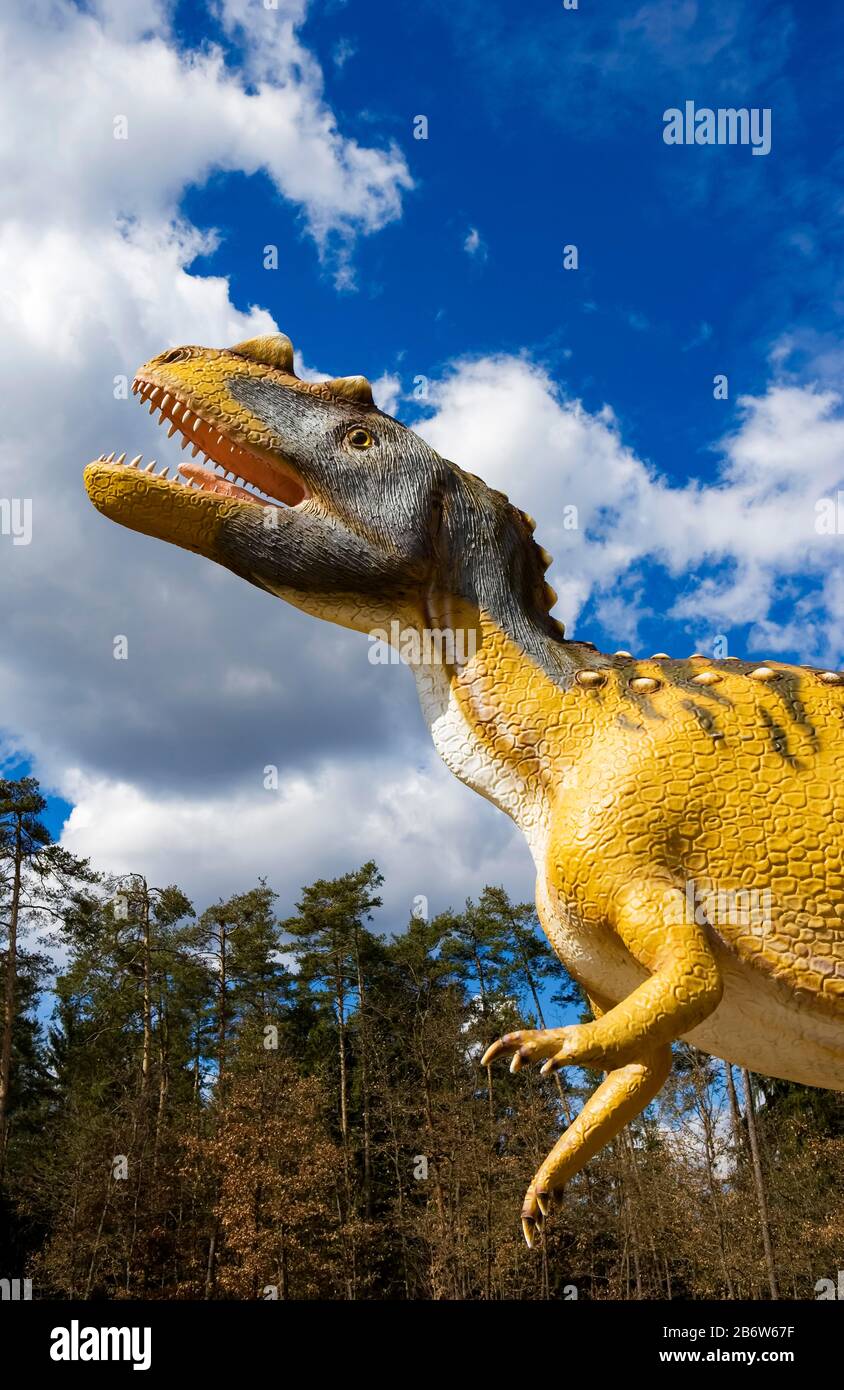 Menacing Tyrannosaurus Rex dinosaur Stock Photo - Alamy