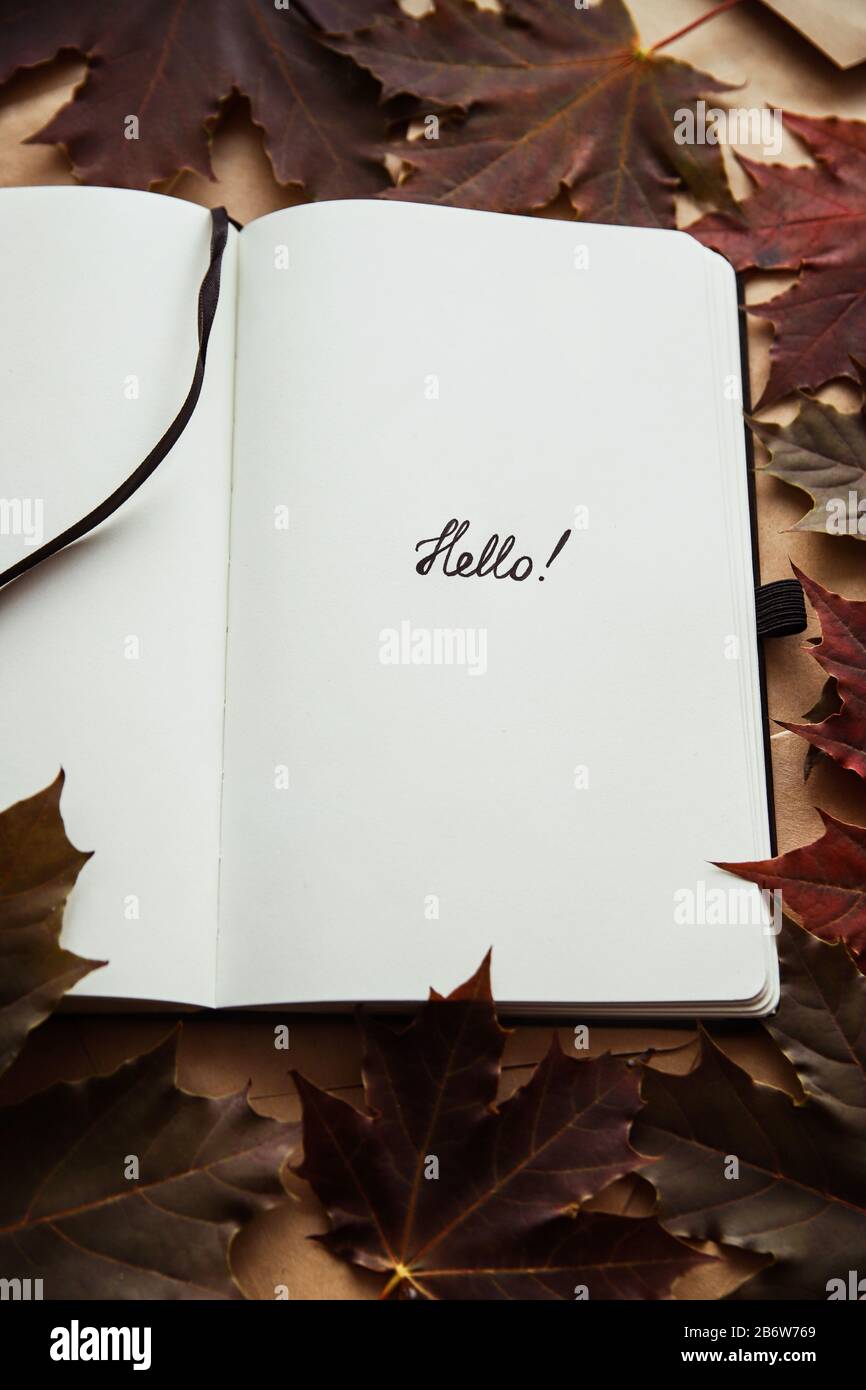 The word hello in notepad and maple leaf. Hello autumn concept Stock Photo