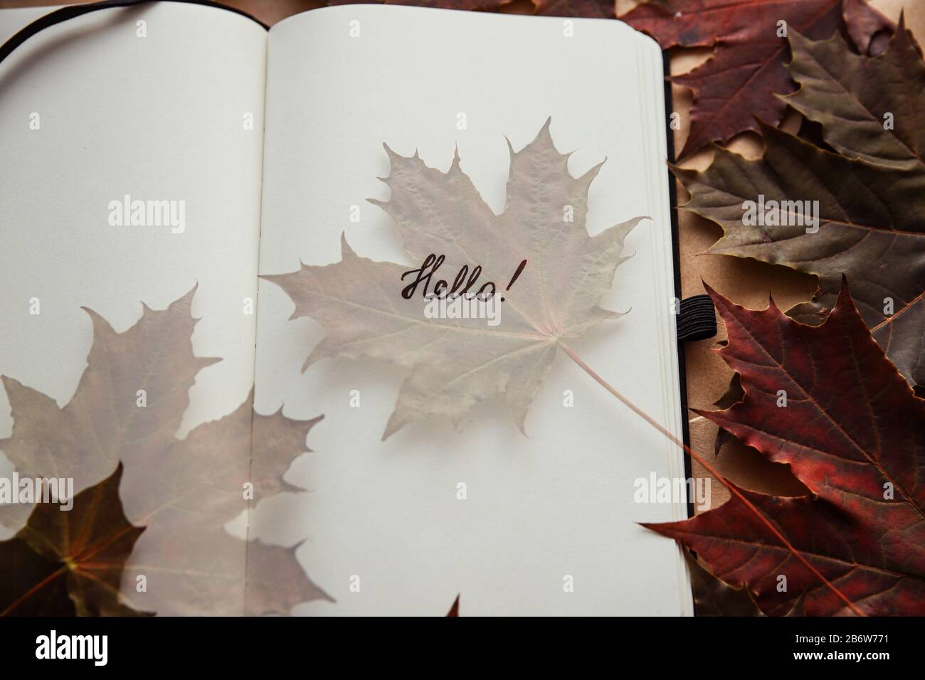 The word hello in notepad and maple leaf. Hello autumn concept Stock Photo