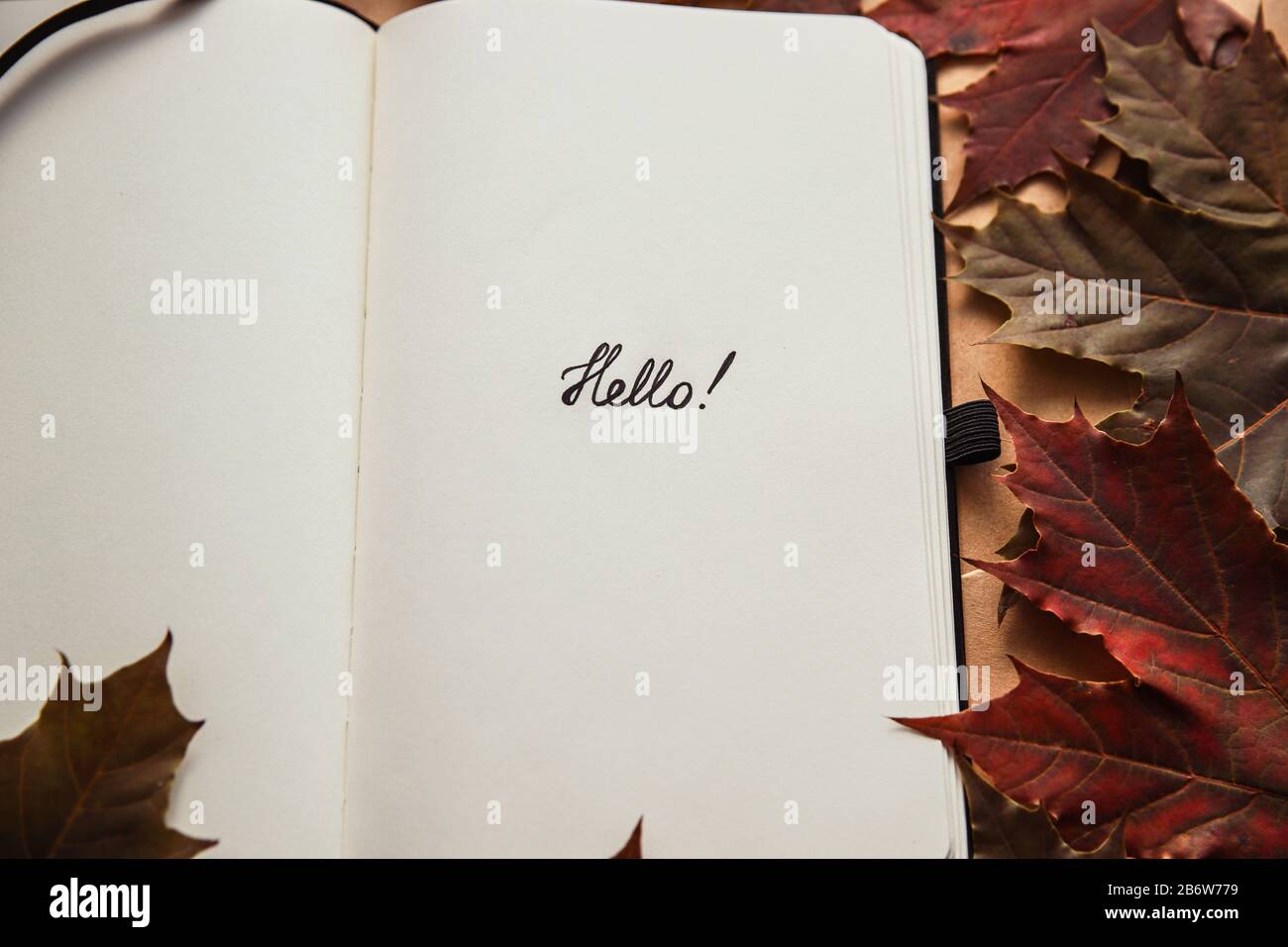 The word hello in notepad and maple leaf. Hello autumn concept Stock Photo