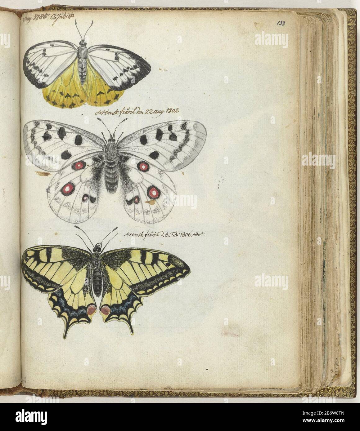 https://c8.alamy.com/comp/2B6W8TN/indische-vlinder-en-zweedse-vlinders-color-drawing-of-a-butterfly-java-and-two-swedish-butterflies-with-inscription-and-dating-and-may-21-1785-august-22-1802-and-february-8-1806-part-of-the-sketchbook-of-jan-brandes-vol-1-1808-p-132-manufacturer-artist-jan-brandesplaats-manufacture-artist-jakartasklsebo-dating21-may-1785-8-feb-1806-physical-features-watercolor-on-sketch-in-pencil-paintbrush-color-material-paper-pencil-technique-brush-dimensions-h-195-mm-w-155-mm-date-1785-1806wie-jan-brandes-2B6W8TN.jpg