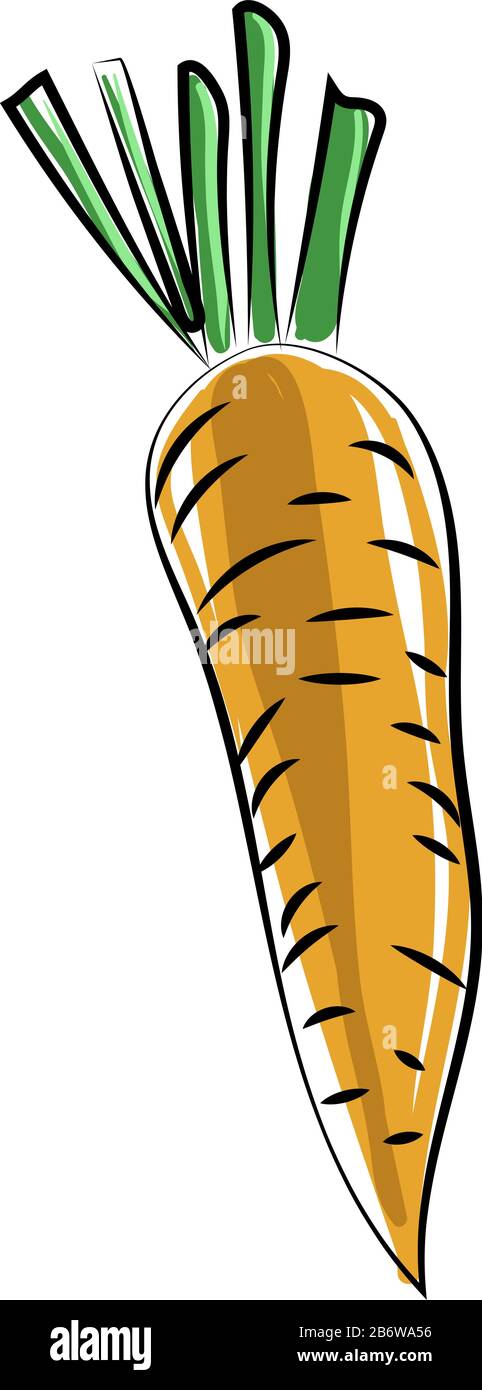 Old carrot, illustration, vector on white background. Stock Vector