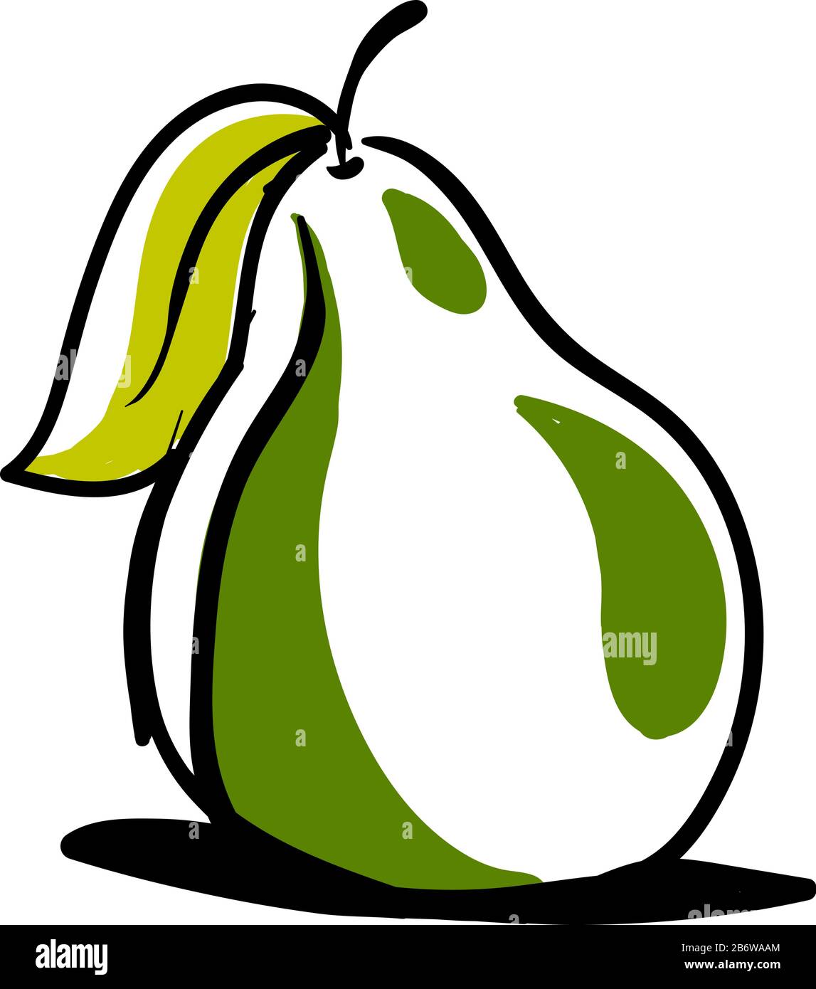 Green pear drawing, illustration, vector on white background Stock