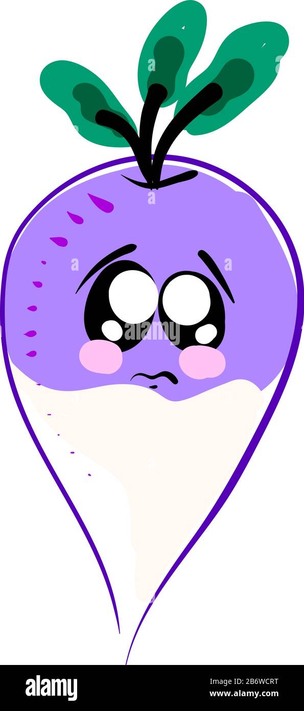 Turnip sad, illustration, vector on white background. Stock Vector