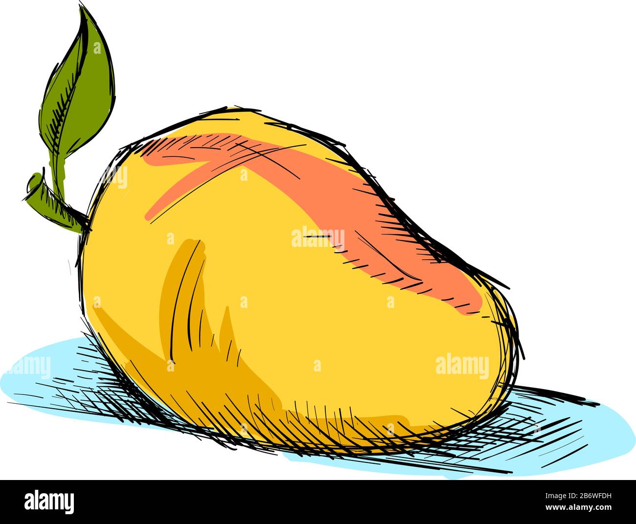 Drawing of mango, illustration, vector on white background Stock Vector