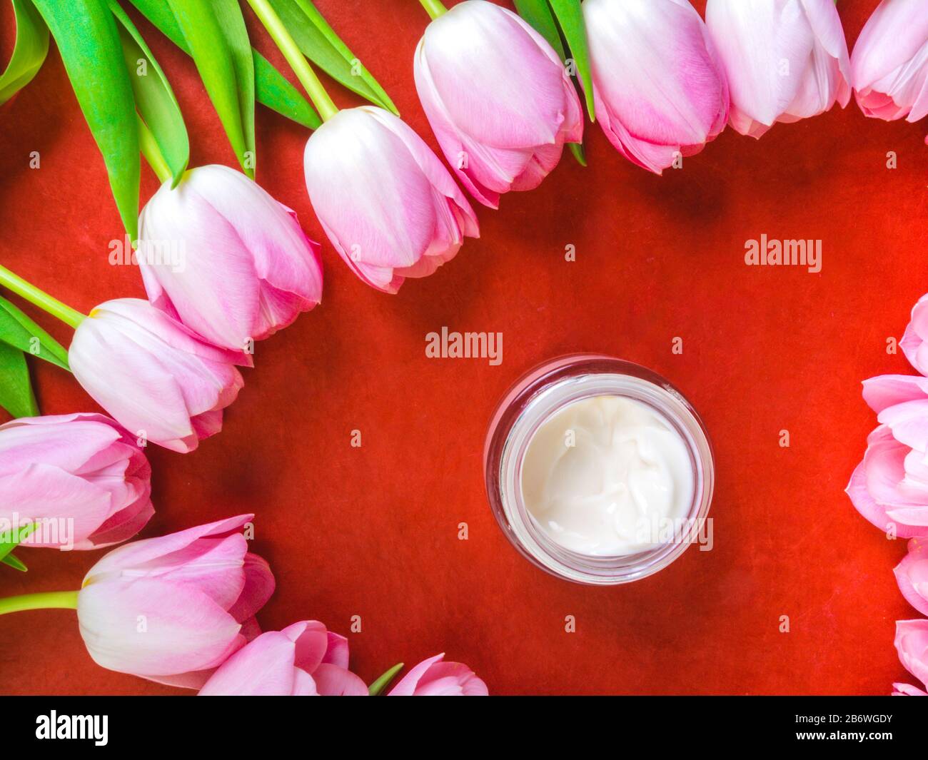 homemade organic cosmetic cream with frame of pink tulip flowers, skin care, remedy and beauty containers with white cream, flat lay Stock Photo