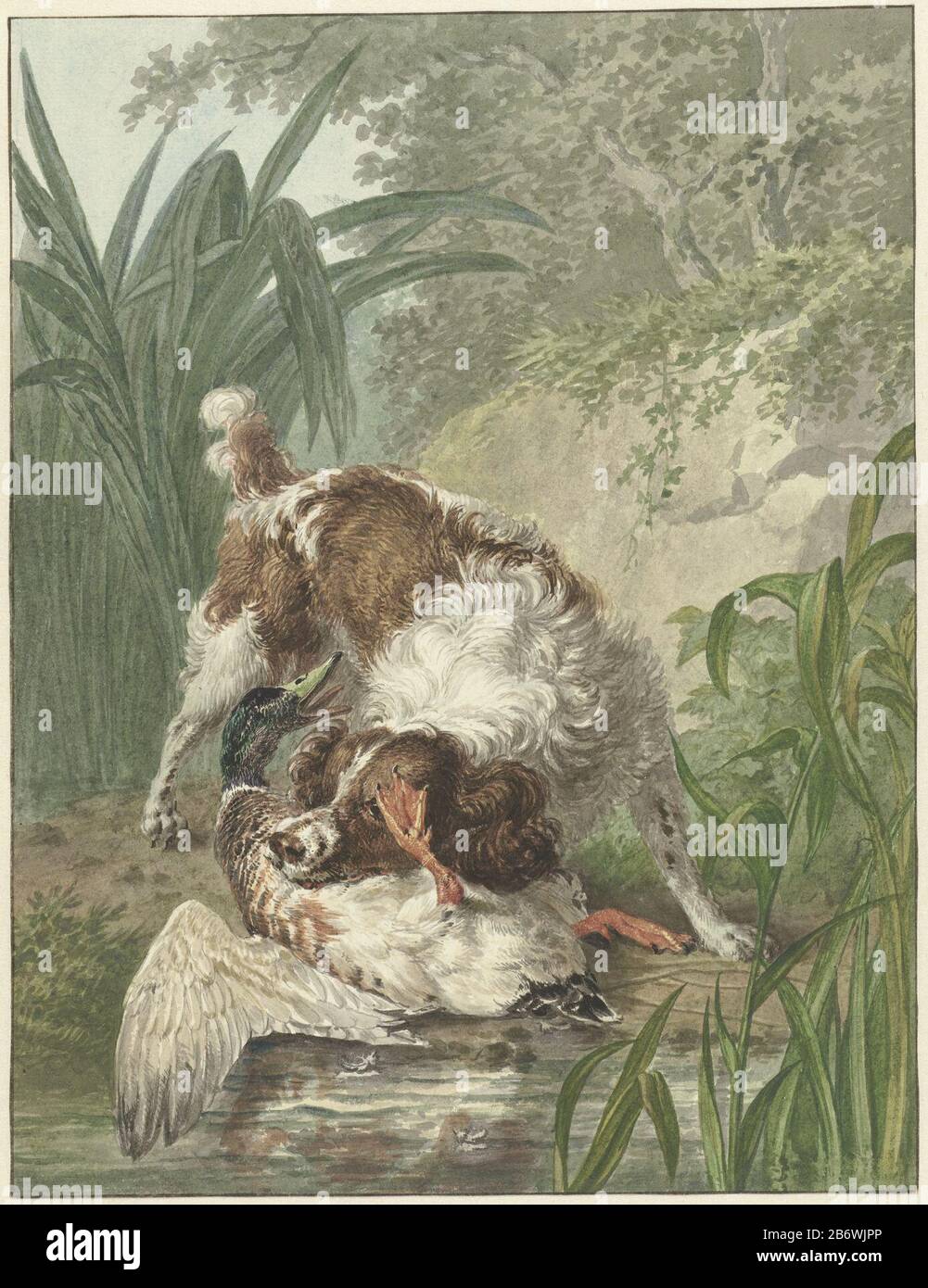Jachthond Vangt Een Eend Hunting Dog Catches A Duck Object Type