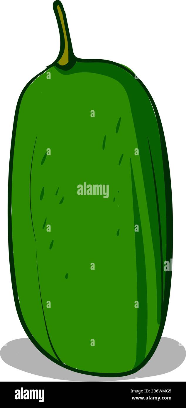 Green curuba, illustration, vector on white background. Stock Vector
